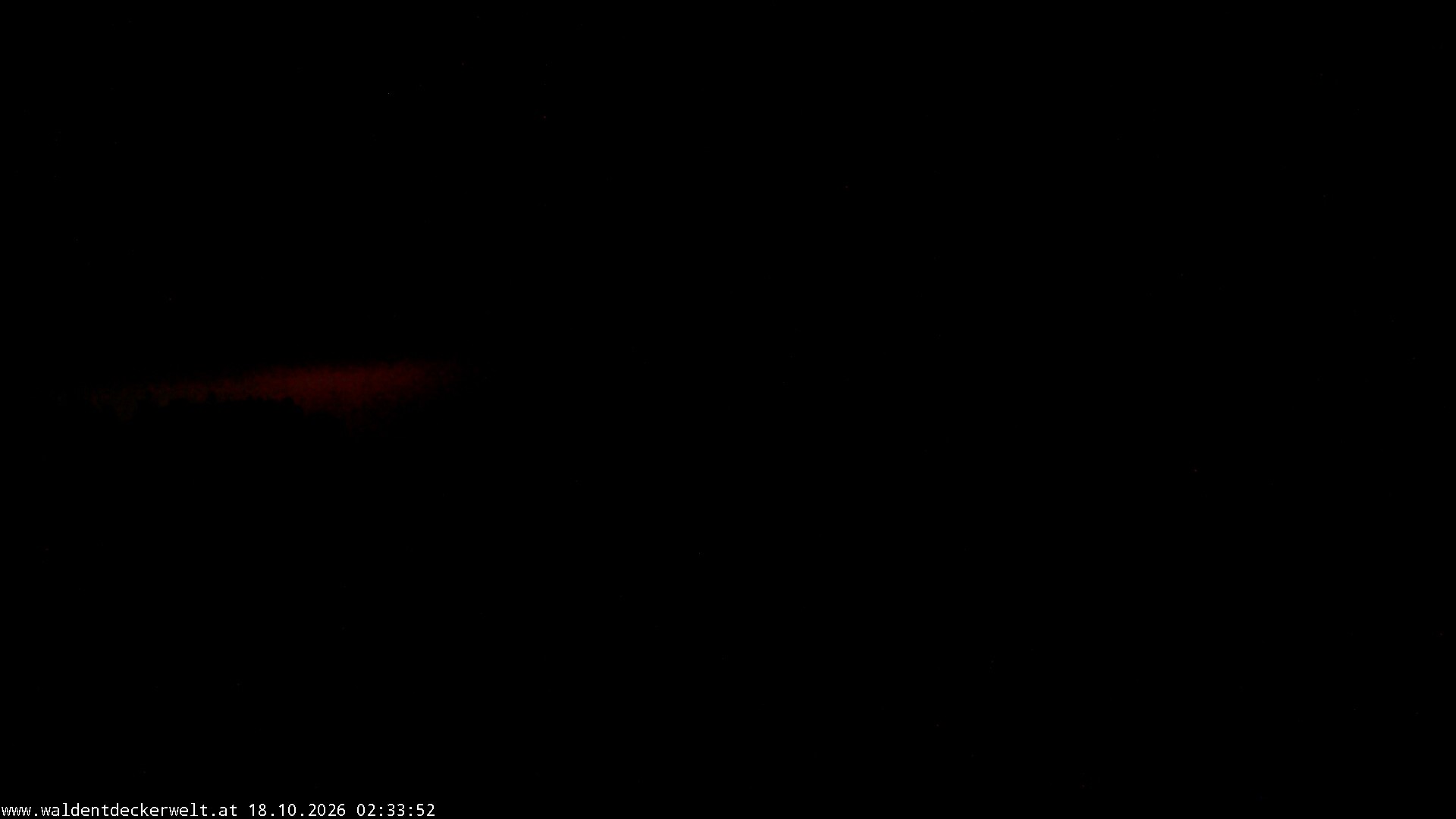 Archiv Foto Webcam Erlebnisturm Baumkronenweg Kopfing