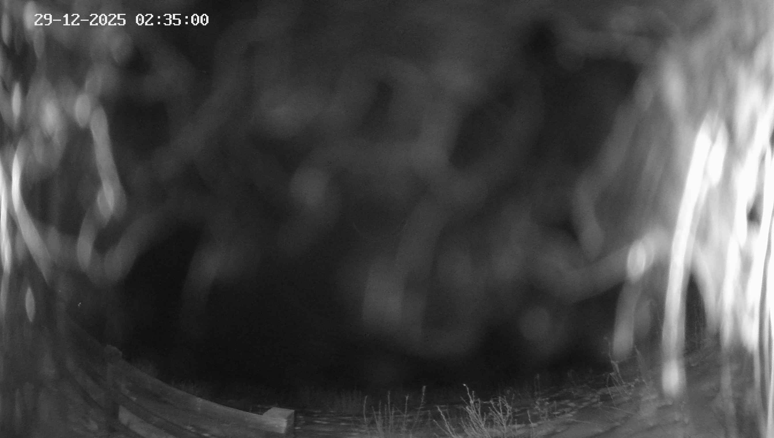 Archiv Foto Webcam Ladurns - Edelweißhütte