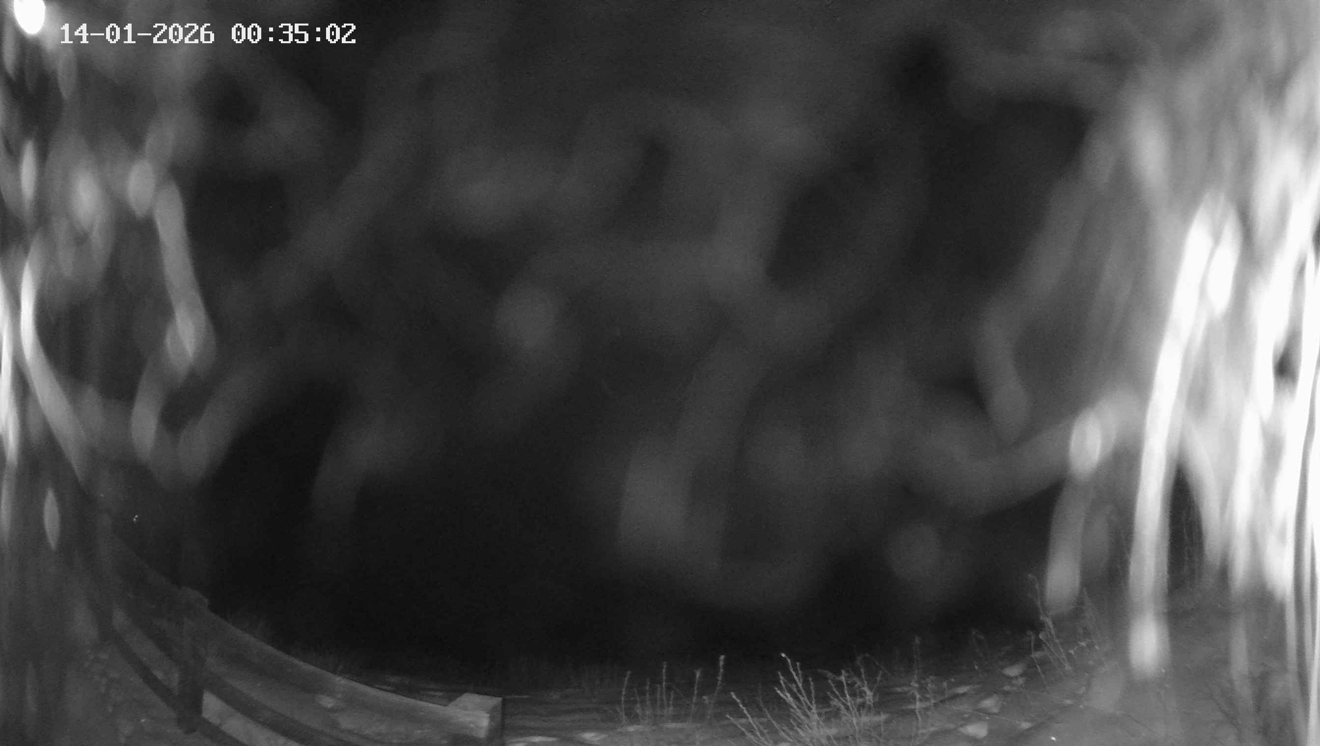 Archived image Webcam Ladurns - Malga Edelweis