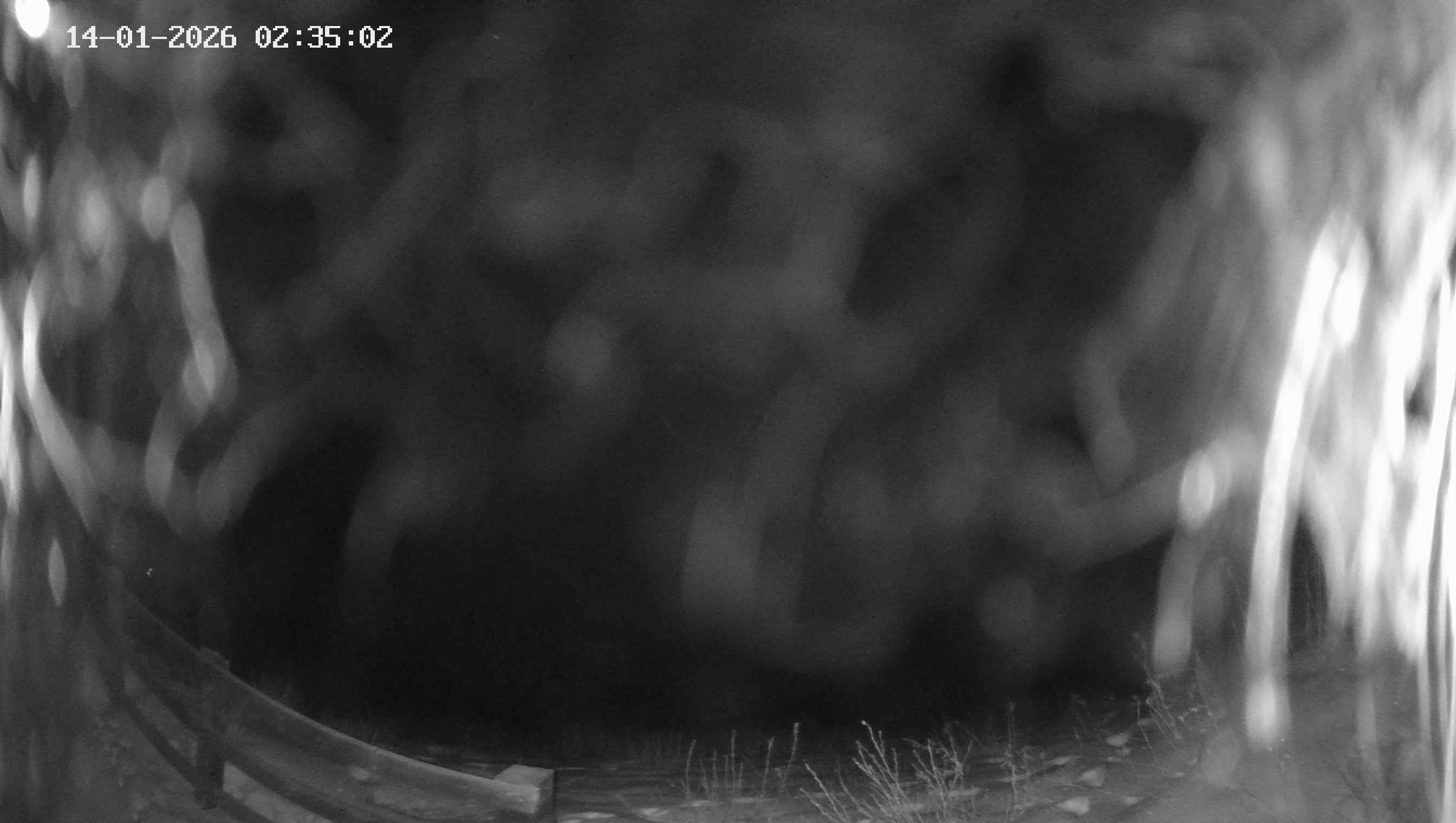 Archived image Webcam Ladurns - Malga Edelweis