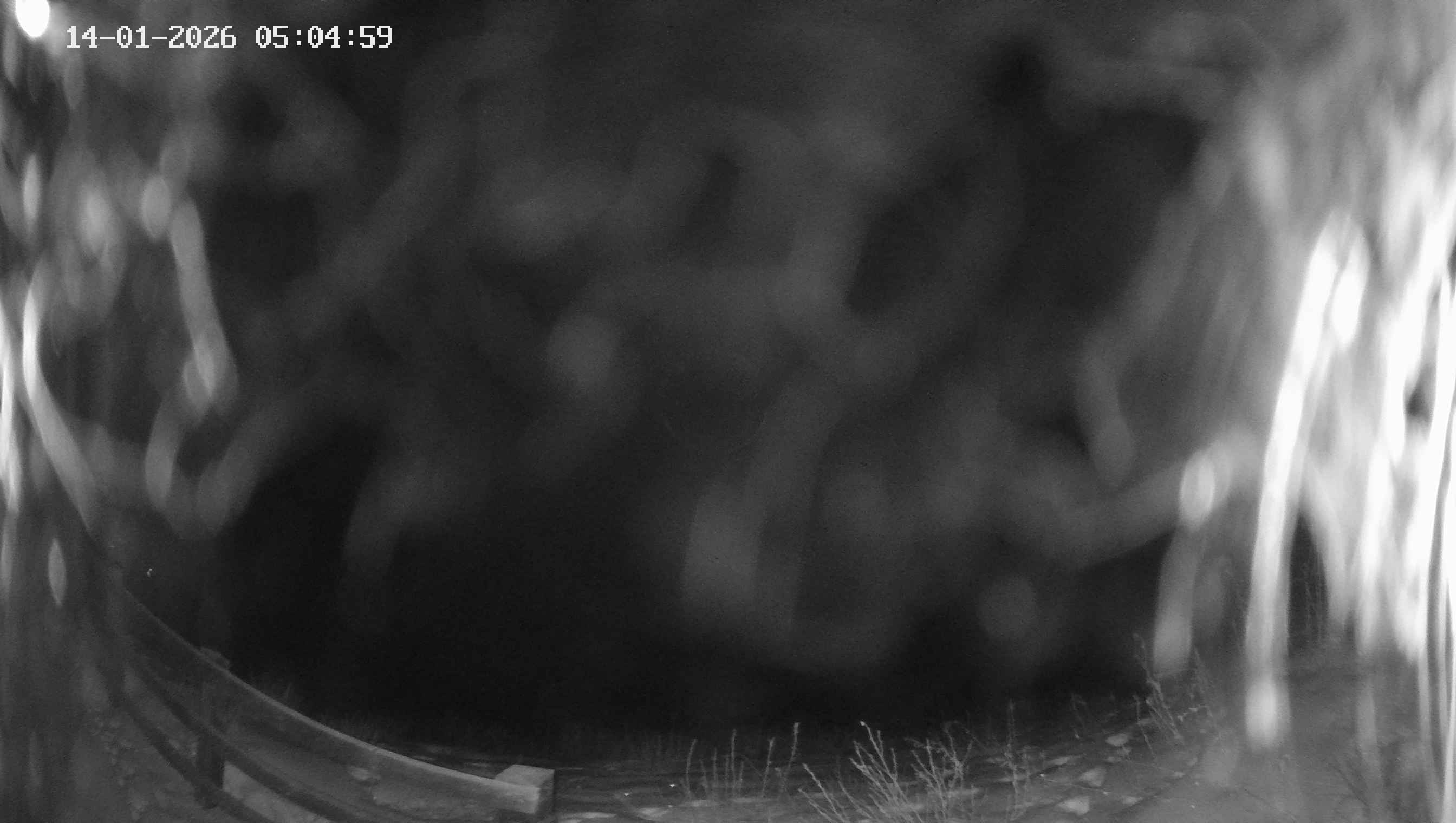 Archived image Webcam Ladurns - Malga Edelweis