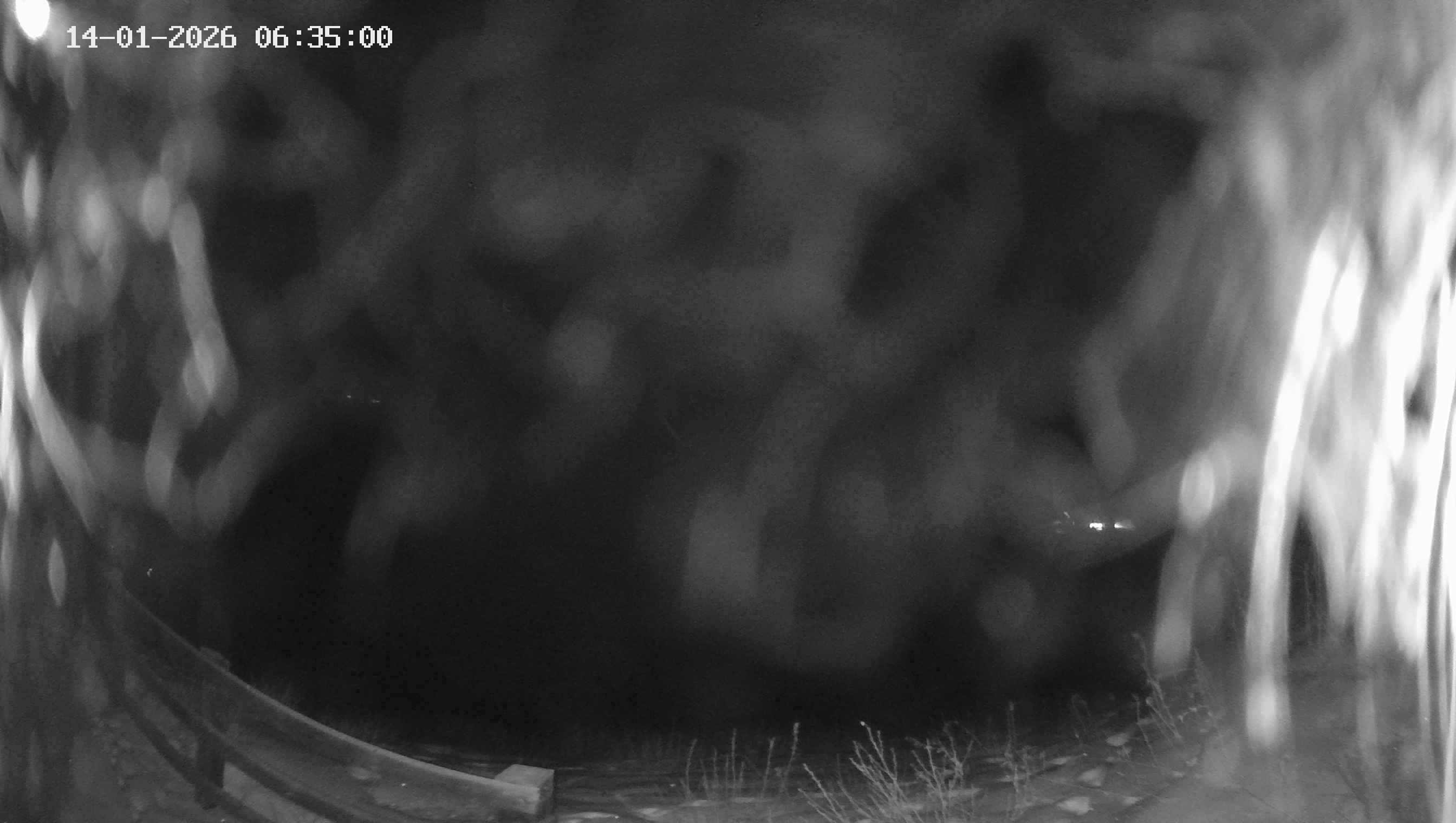 Archived image Webcam Ladurns - Malga Edelweis