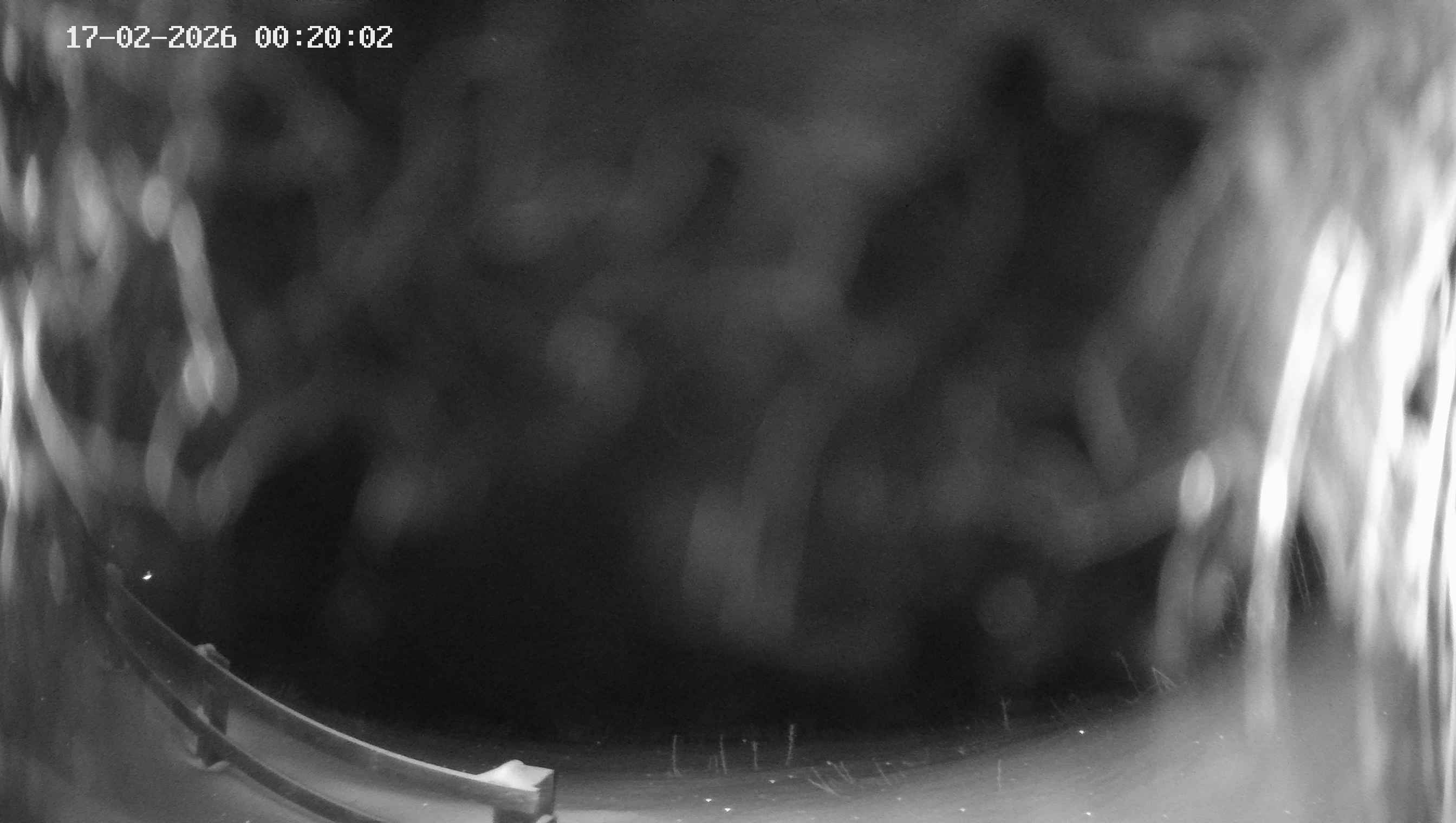 Archiv Foto Webcam Ladurns - Edelweißhütte