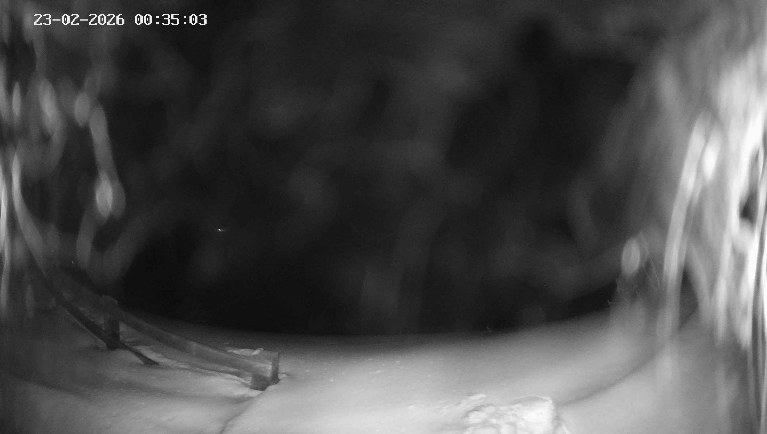 Archiv Foto Webcam Ladurns - Edelweißhütte