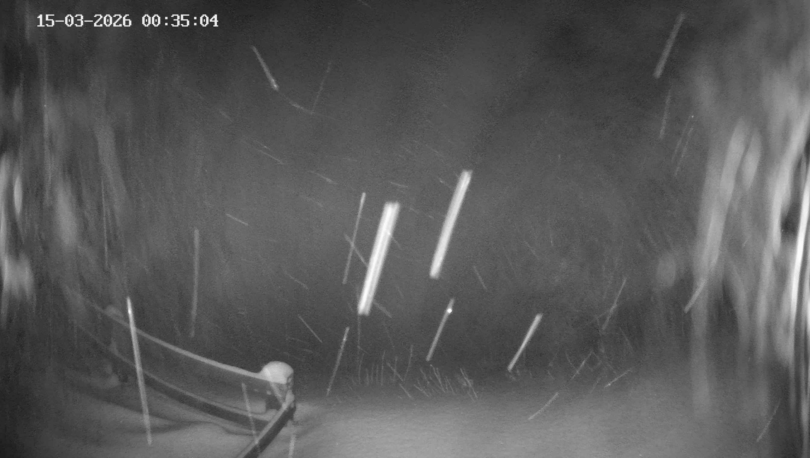 Archiv Foto Webcam Ladurns - Edelweißhütte