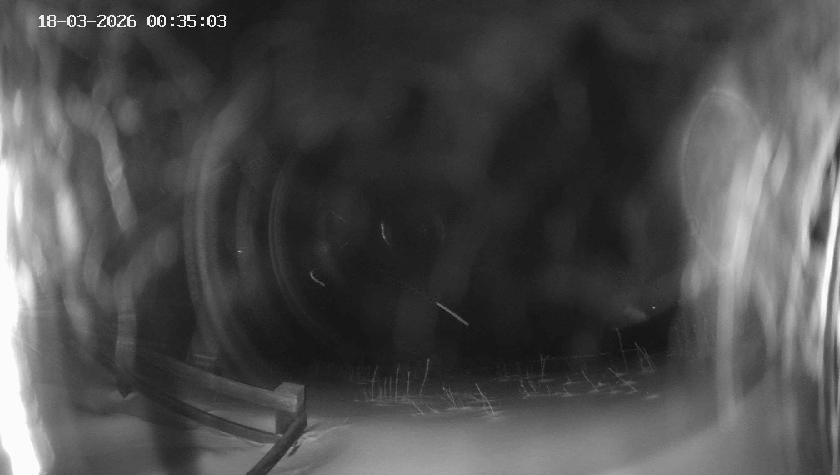 Archiv Foto Webcam Ladurns - Edelweißhütte