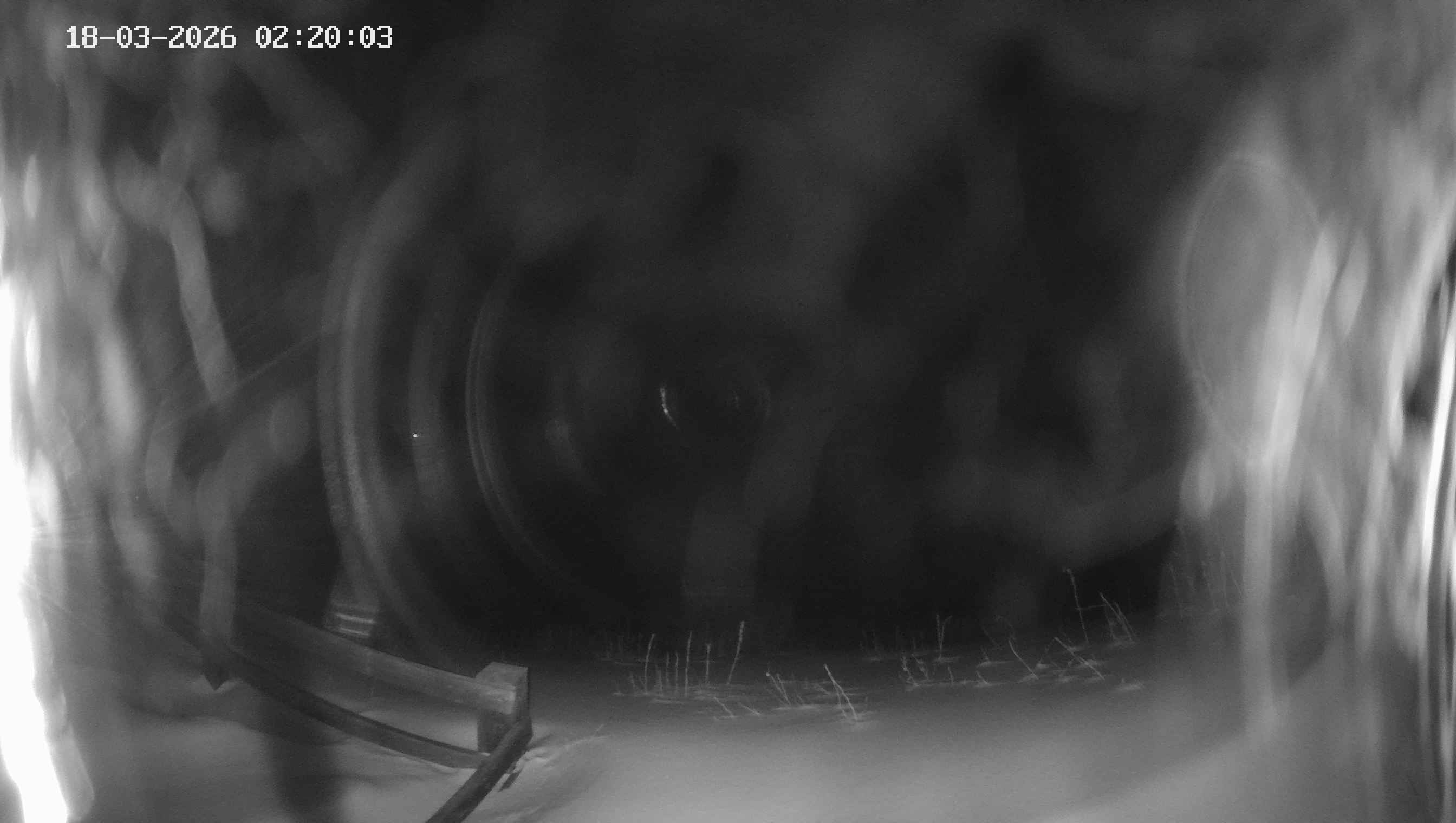 Archiv Foto Webcam Ladurns - Edelweißhütte