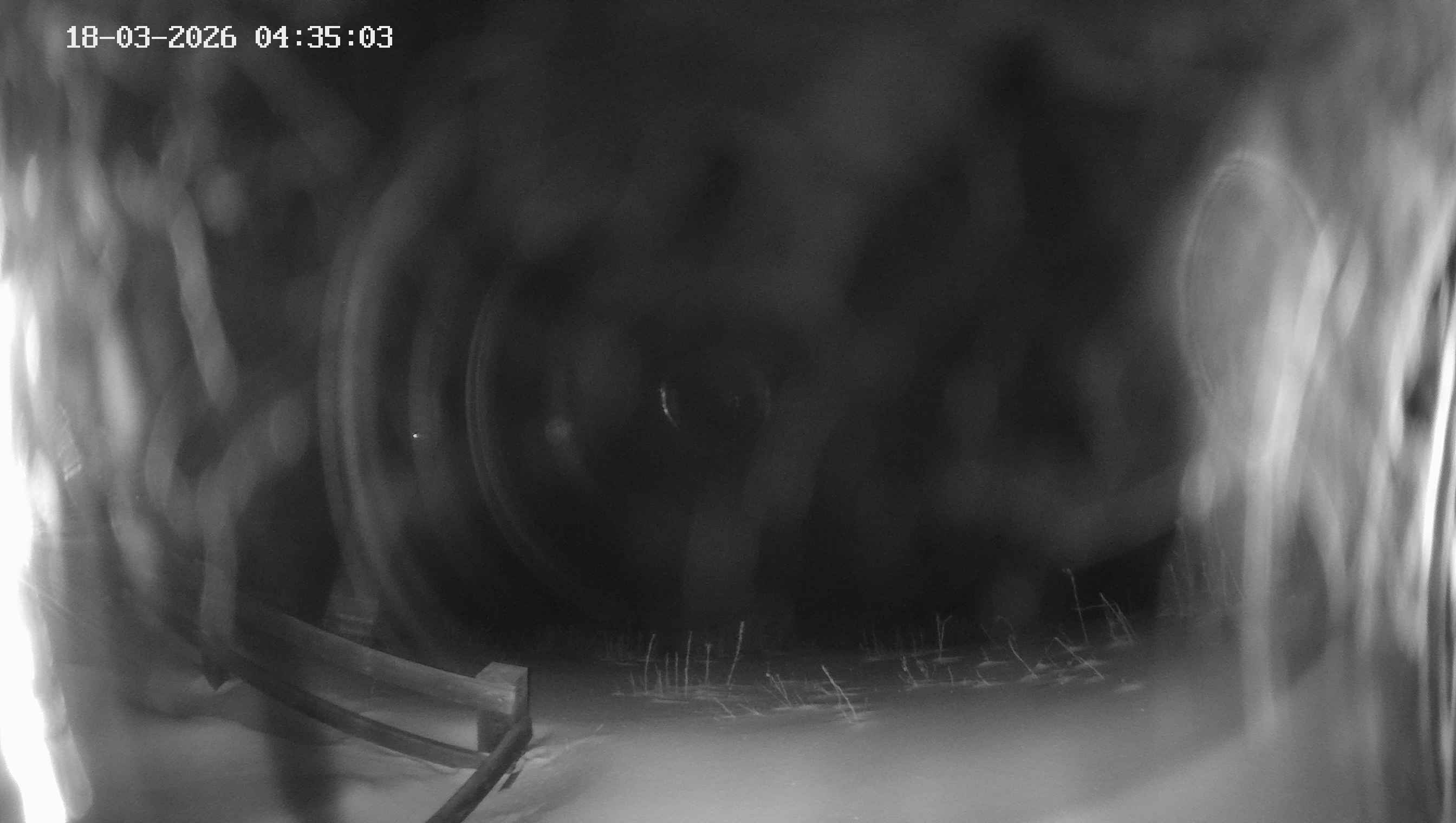 Archiv Foto Webcam Ladurns - Edelweißhütte