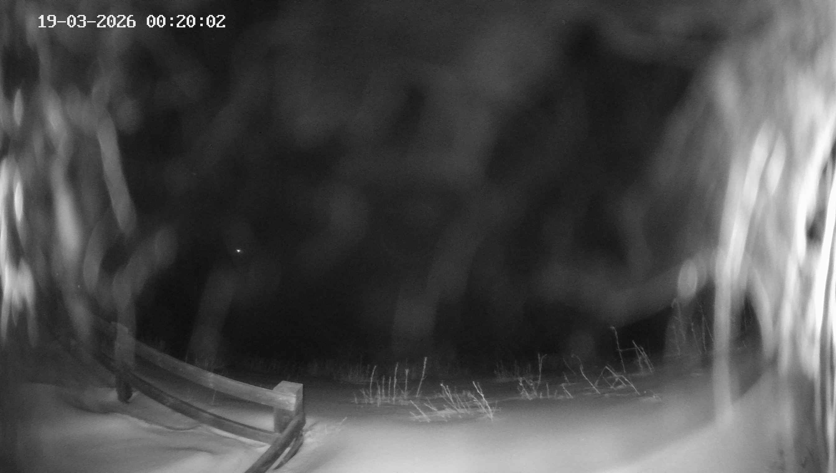 Archiv Foto Webcam Ladurns - Edelweißhütte