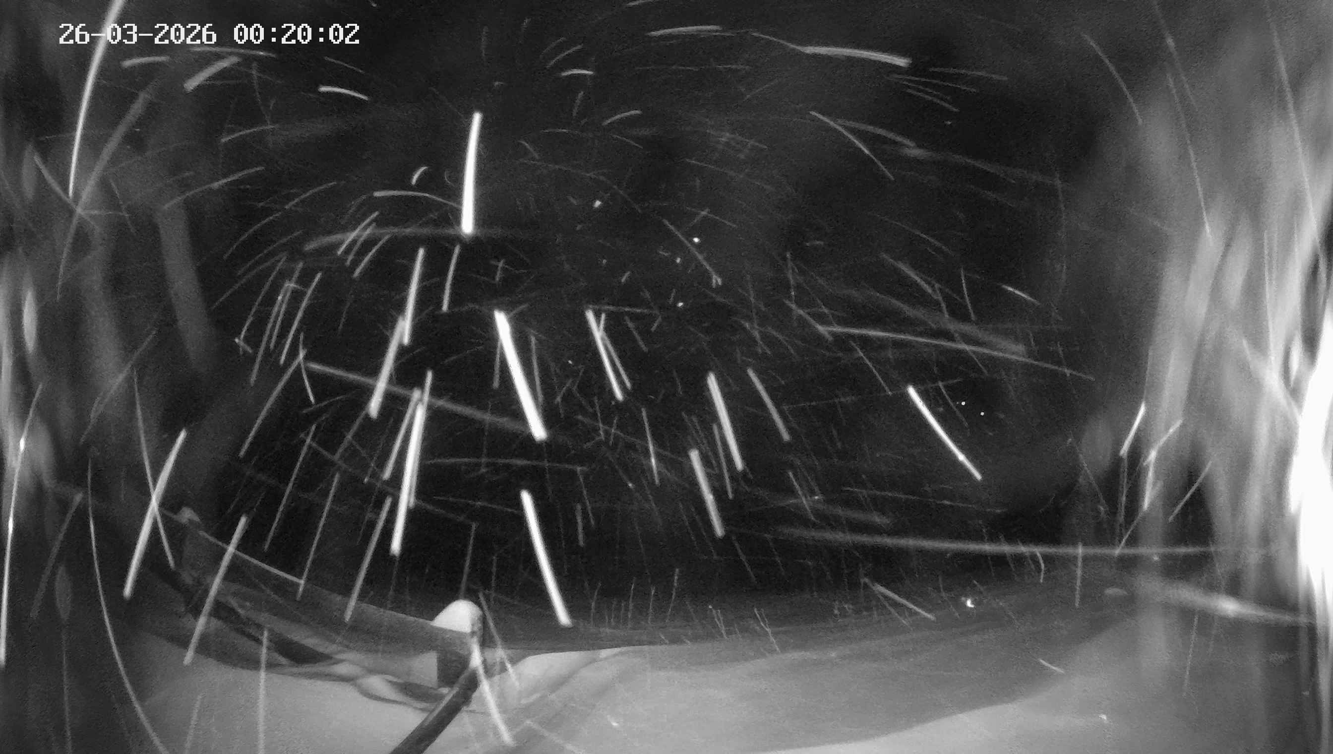 Archiv Foto Webcam Ladurns - Edelweißhütte