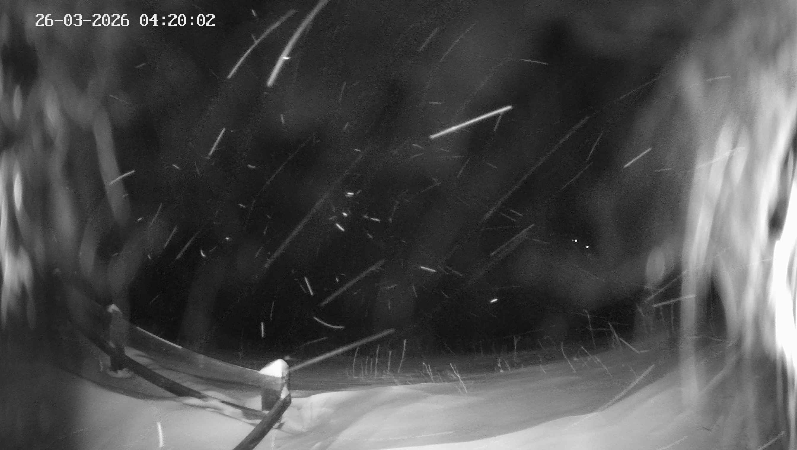 Archiv Foto Webcam Ladurns - Edelweißhütte