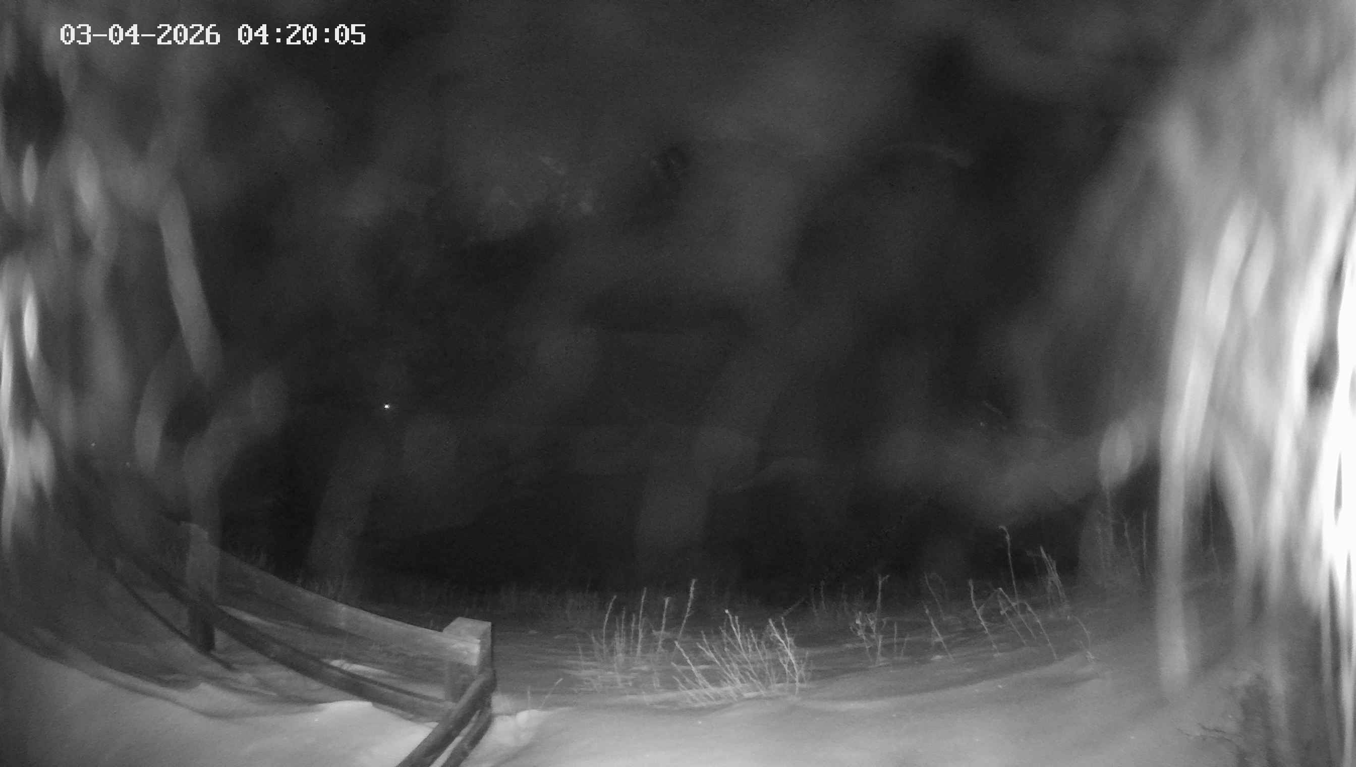 Archived image Webcam Ladurns - Malga Edelweis