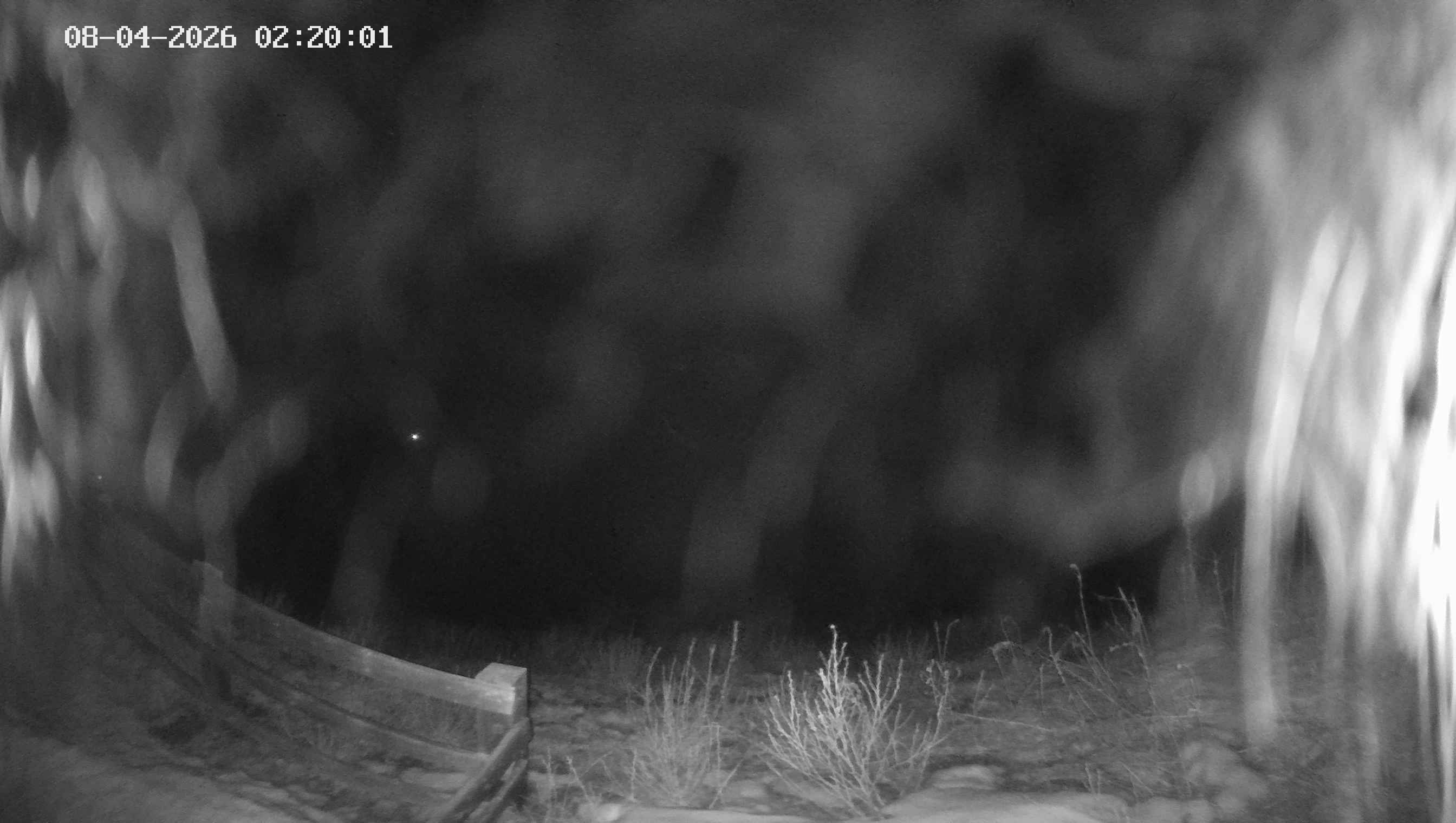 Archived image Webcam Ladurns - Malga Edelweis