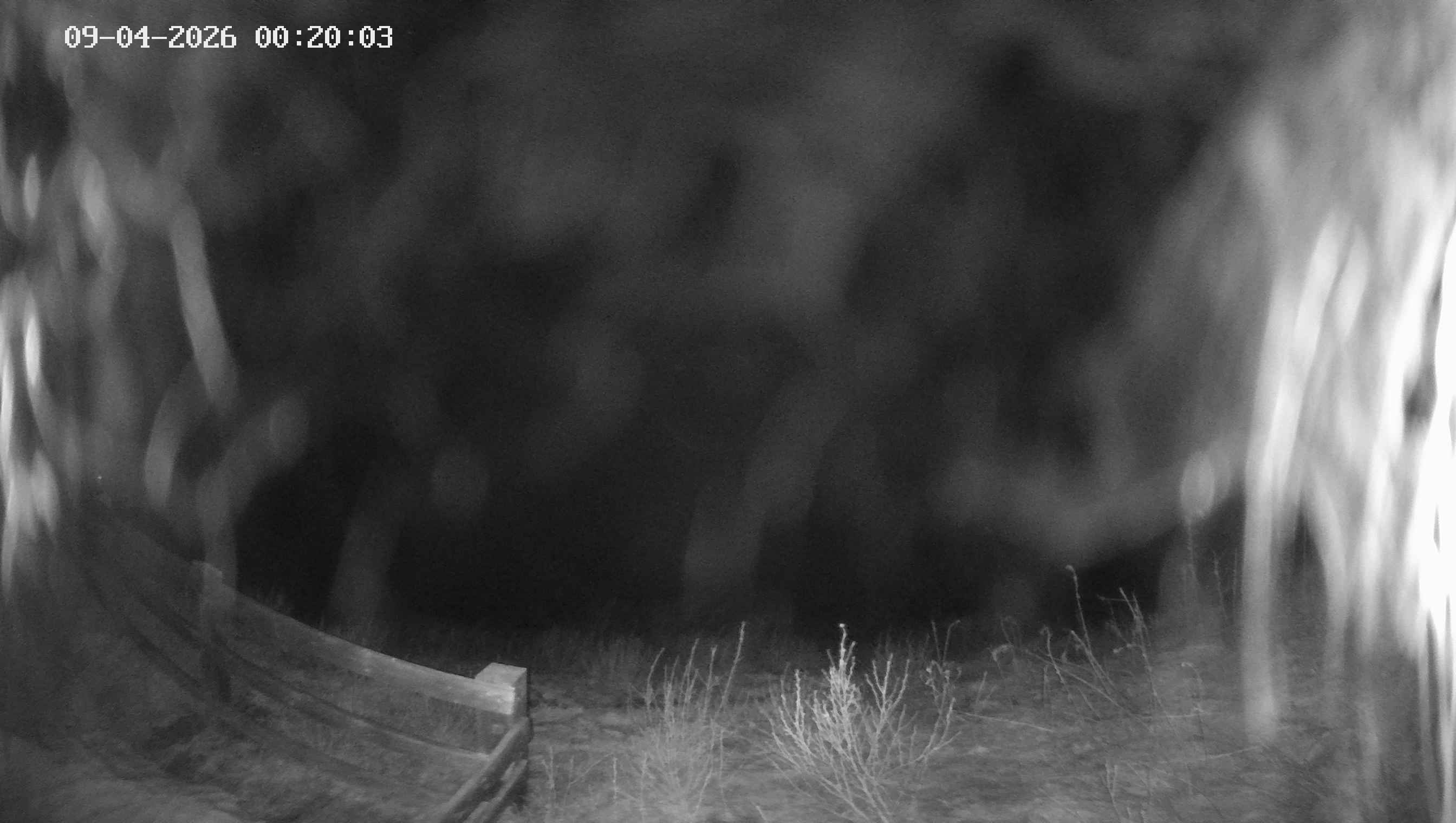 Archiv Foto Webcam Ladurns - Edelweißhütte