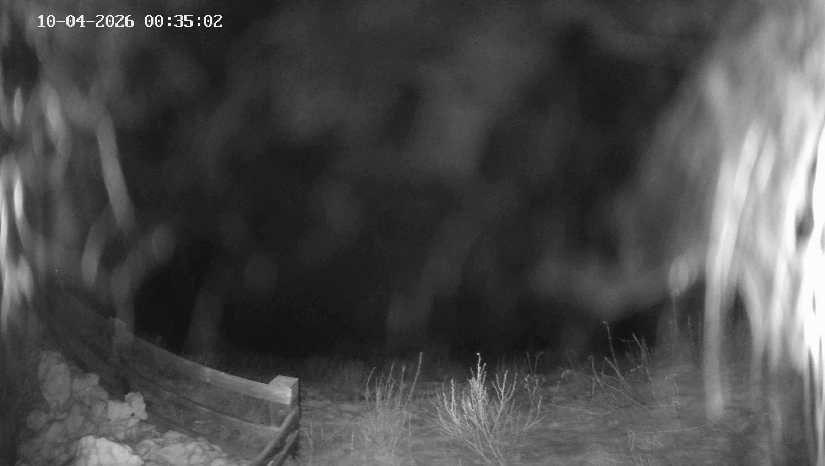 Archiv Foto Webcam Ladurns - Edelweißhütte