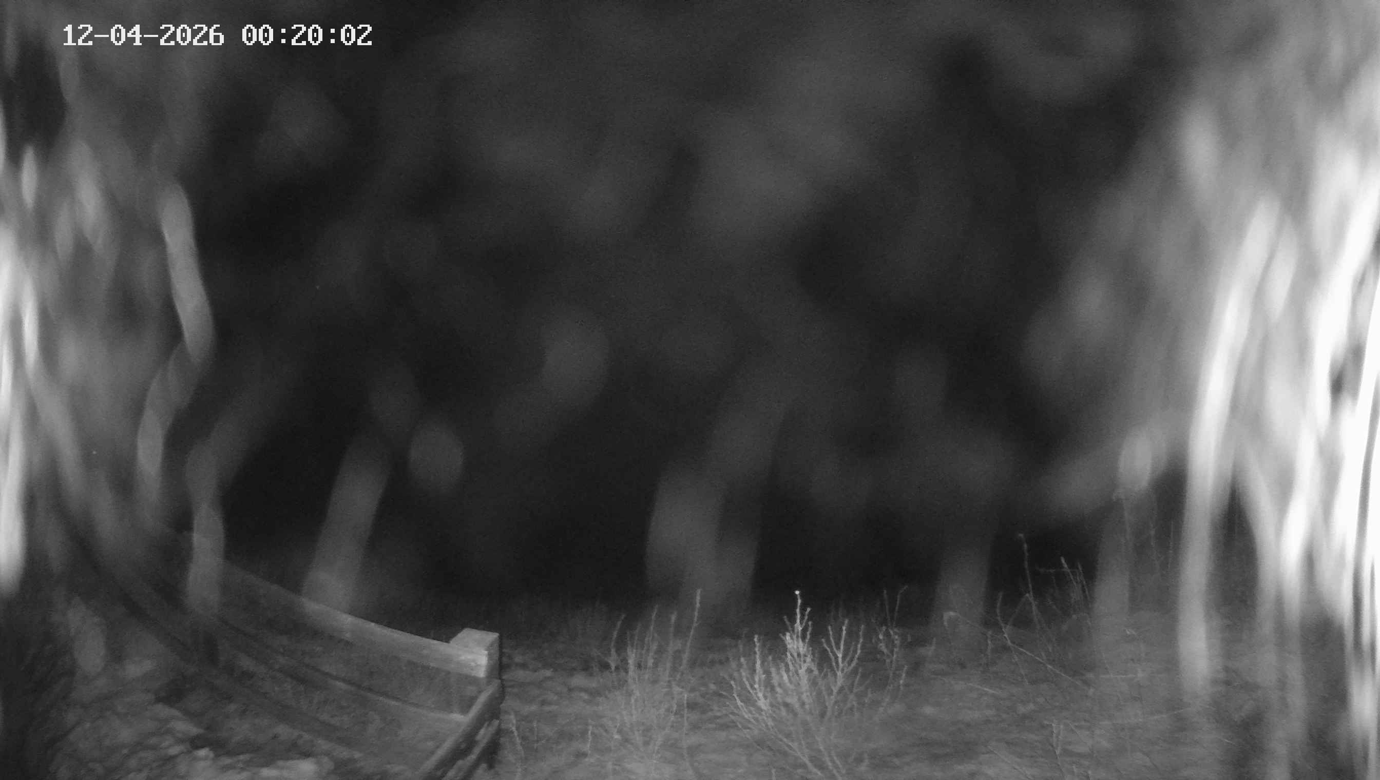 Archived image Webcam Ladurns - Malga Edelweis