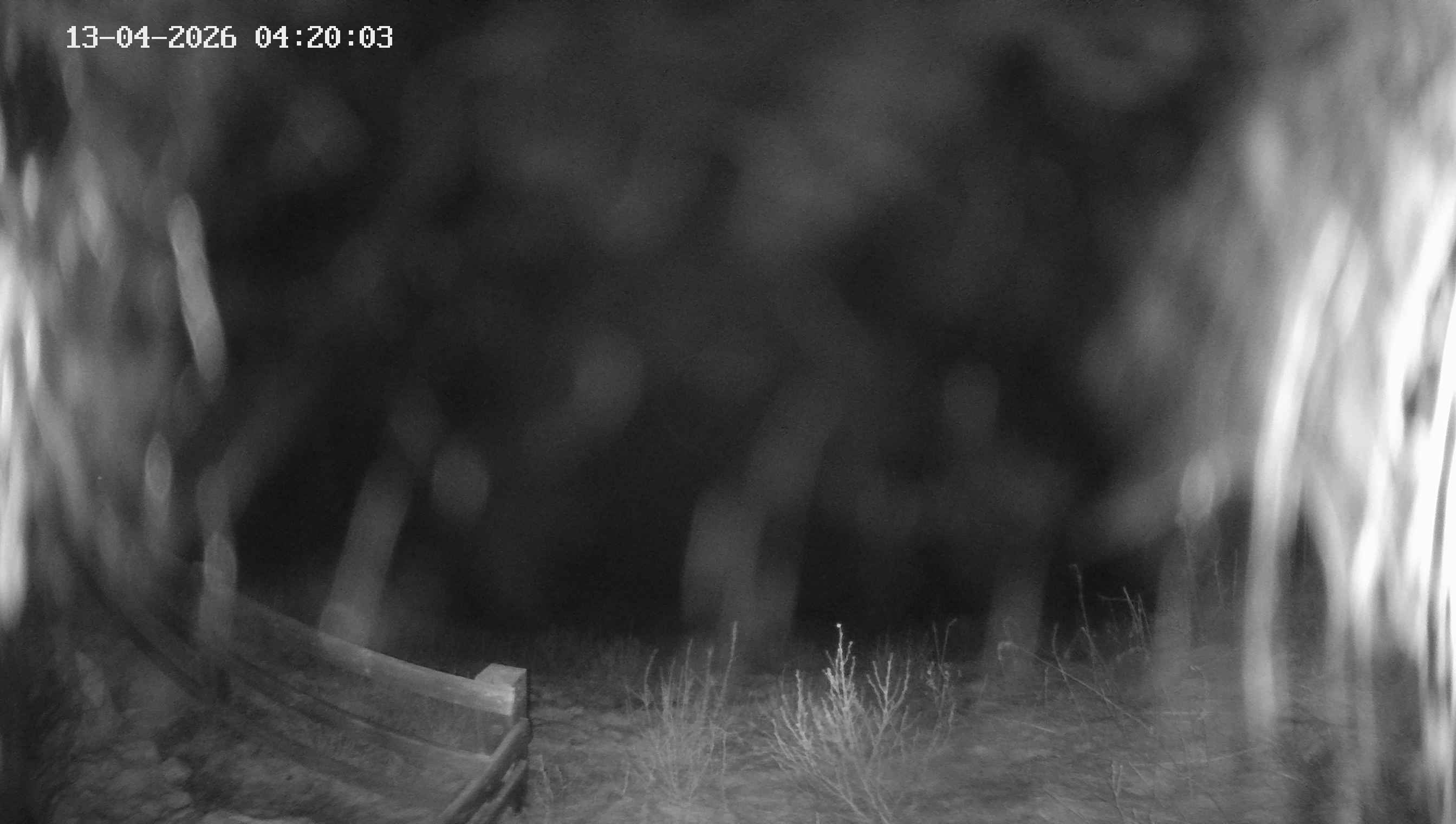 Archiv Foto Webcam Ladurns - Edelweißhütte