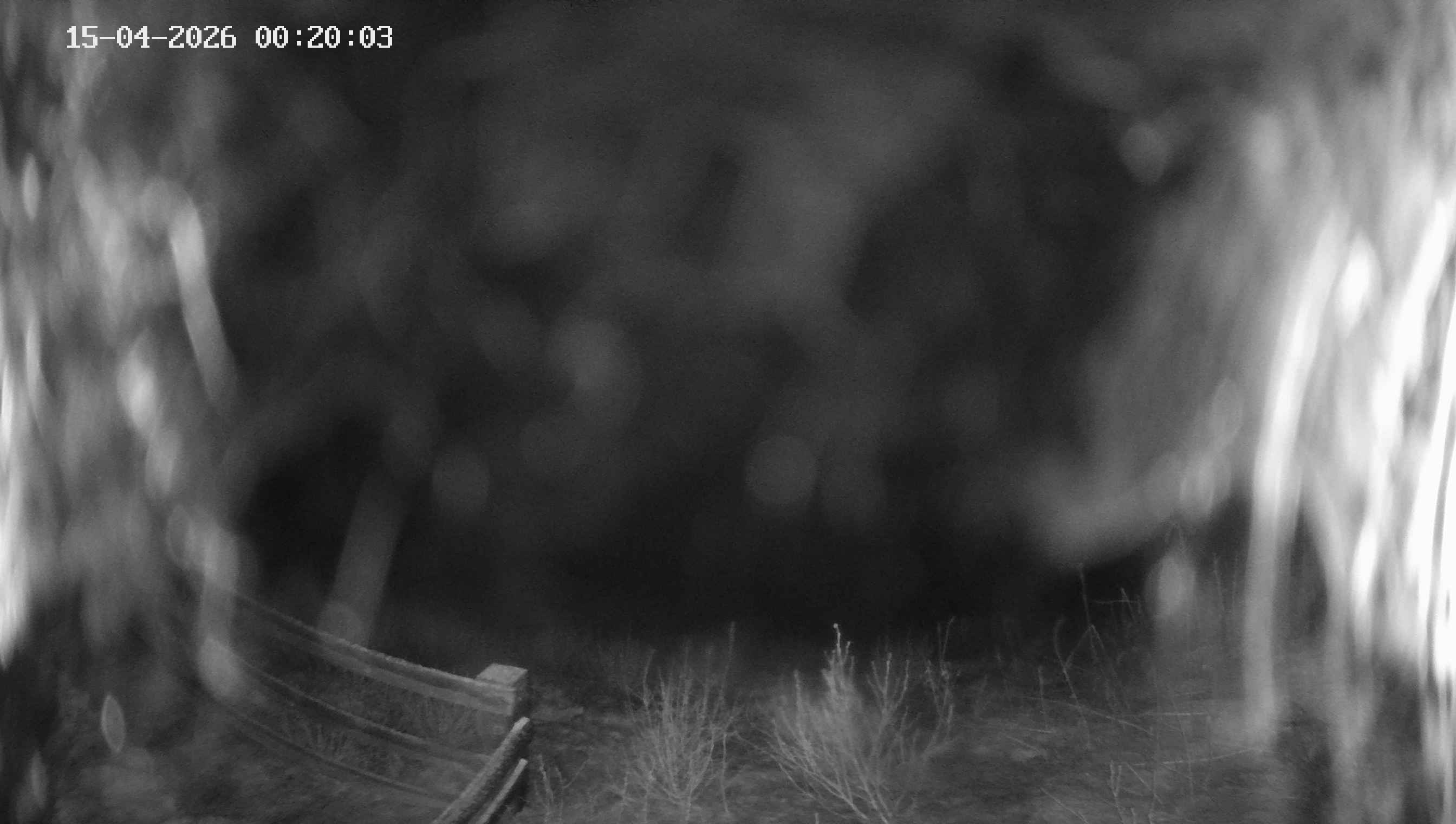 Archived image Webcam Ladurns - Malga Edelweis