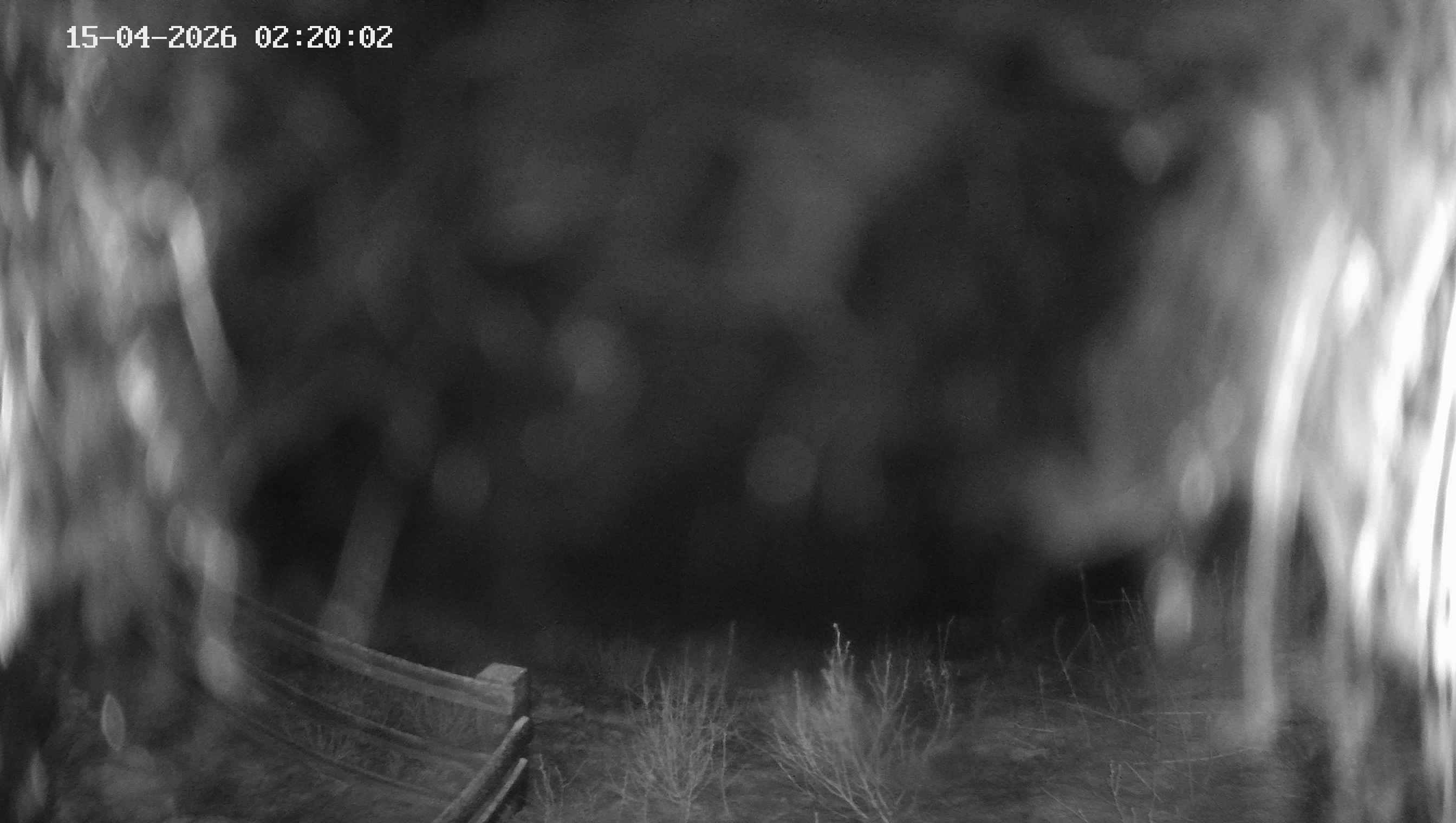 Archived image Webcam Ladurns - Malga Edelweis