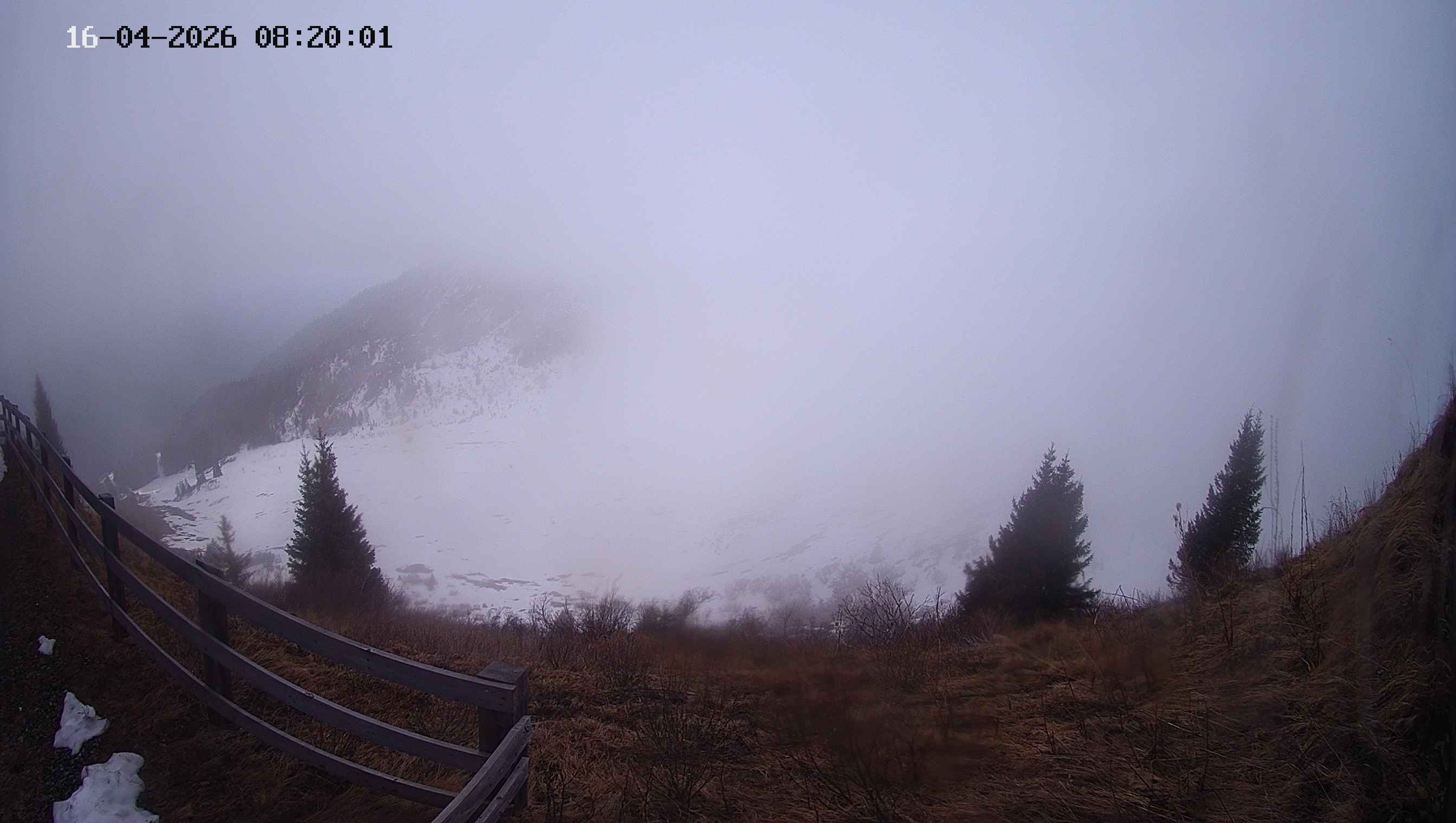 Archived image Webcam Ladurns - Malga Edelweis