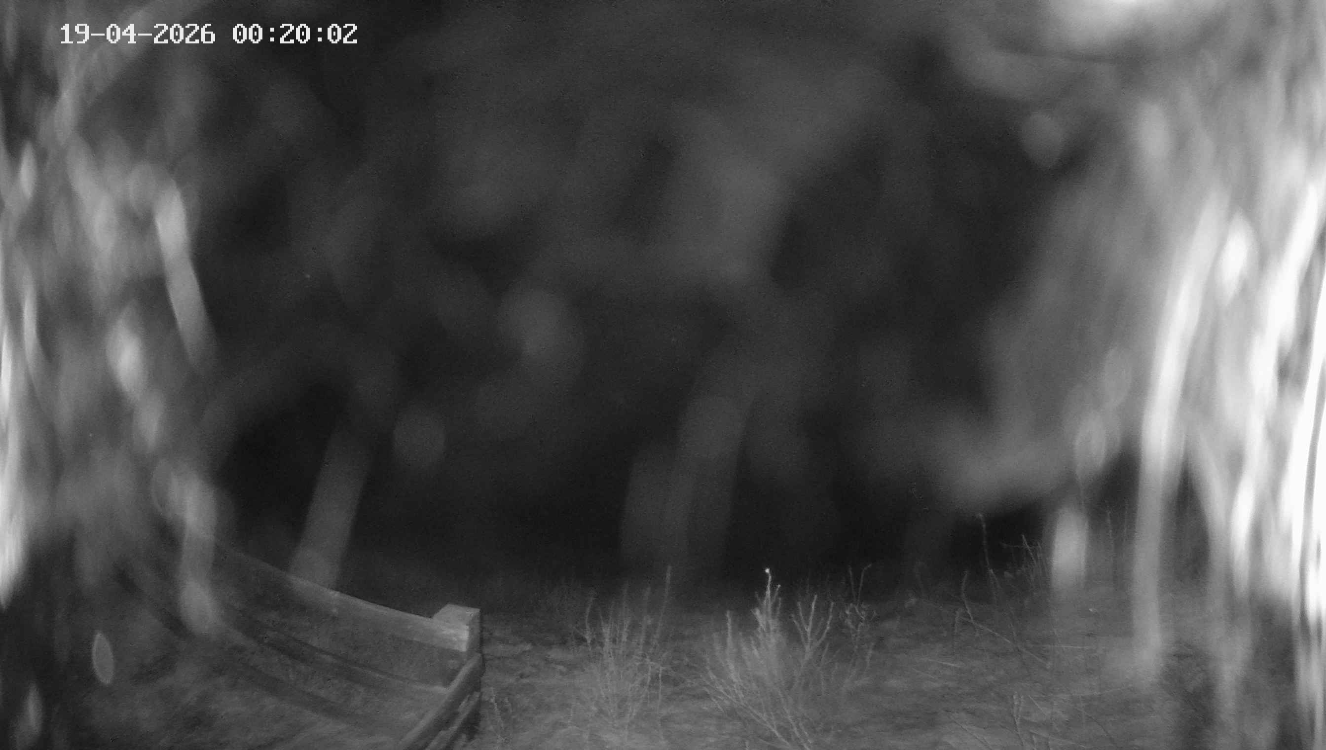 Archiv Foto Webcam Ladurns - Edelweißhütte