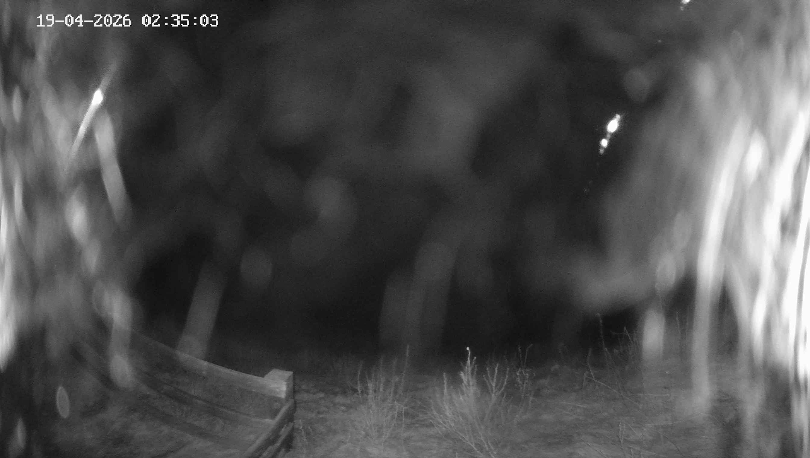 Archiv Foto Webcam Ladurns - Edelweißhütte