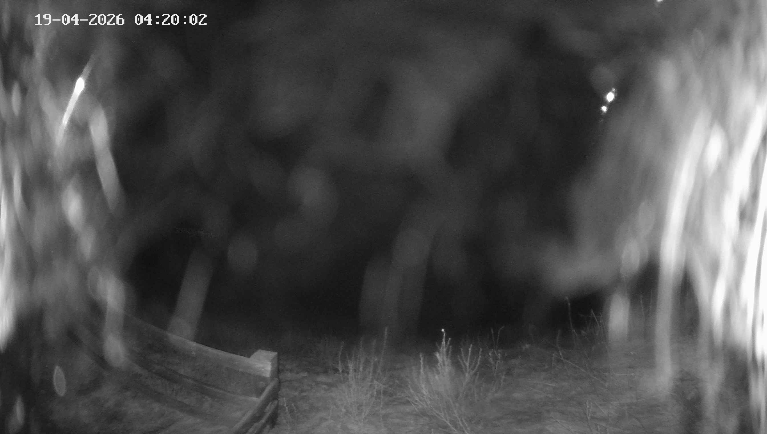 Archiv Foto Webcam Ladurns - Edelweißhütte