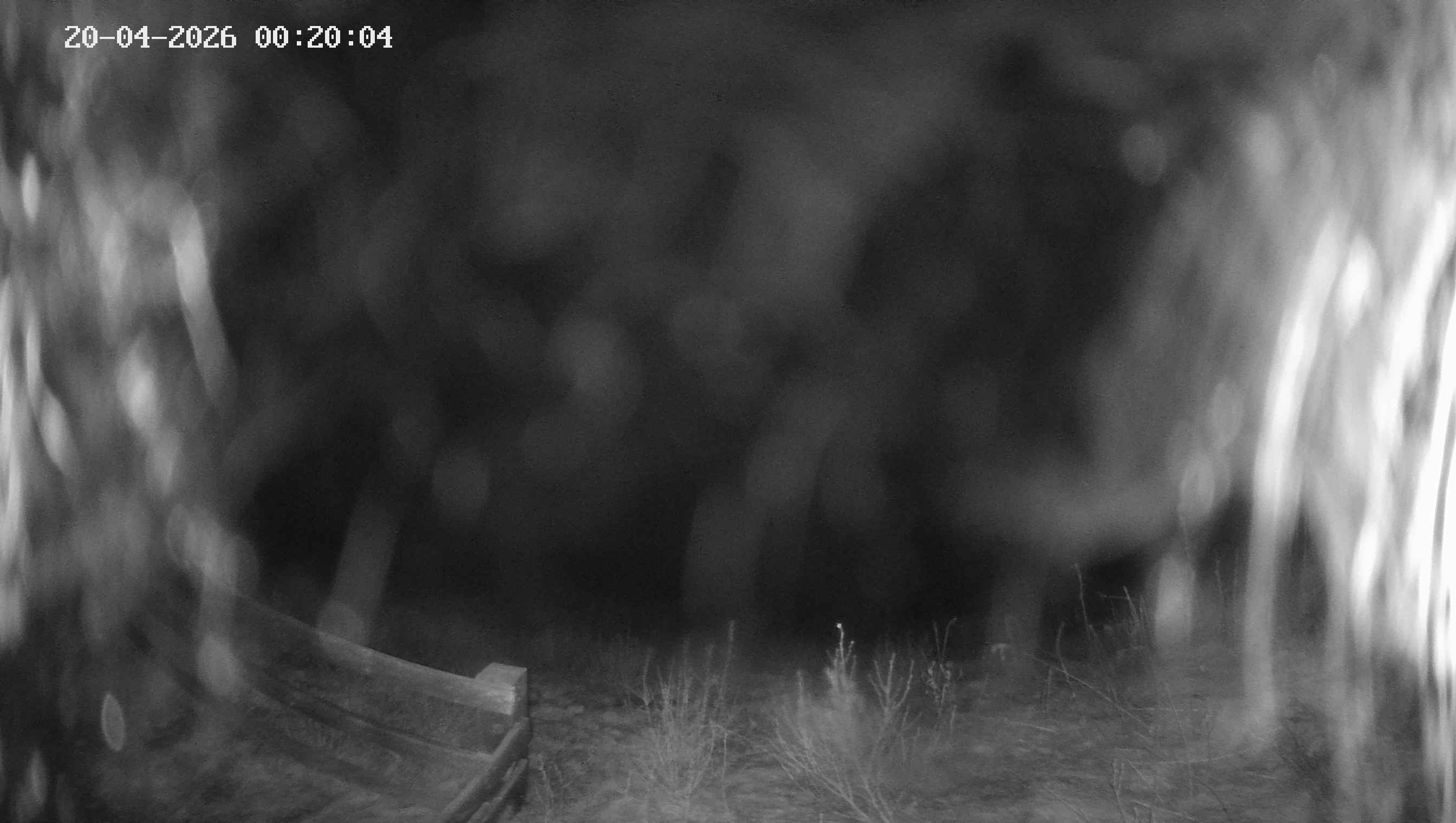 Archiv Foto Webcam Ladurns - Edelweißhütte