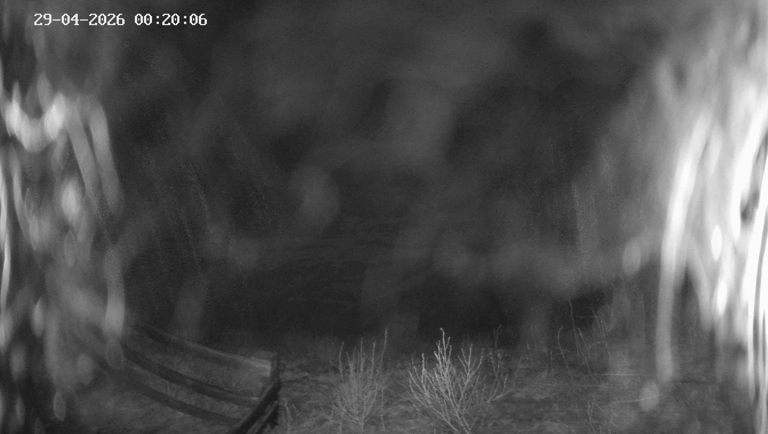 Archiv Foto Webcam Ladurns - Edelweißhütte