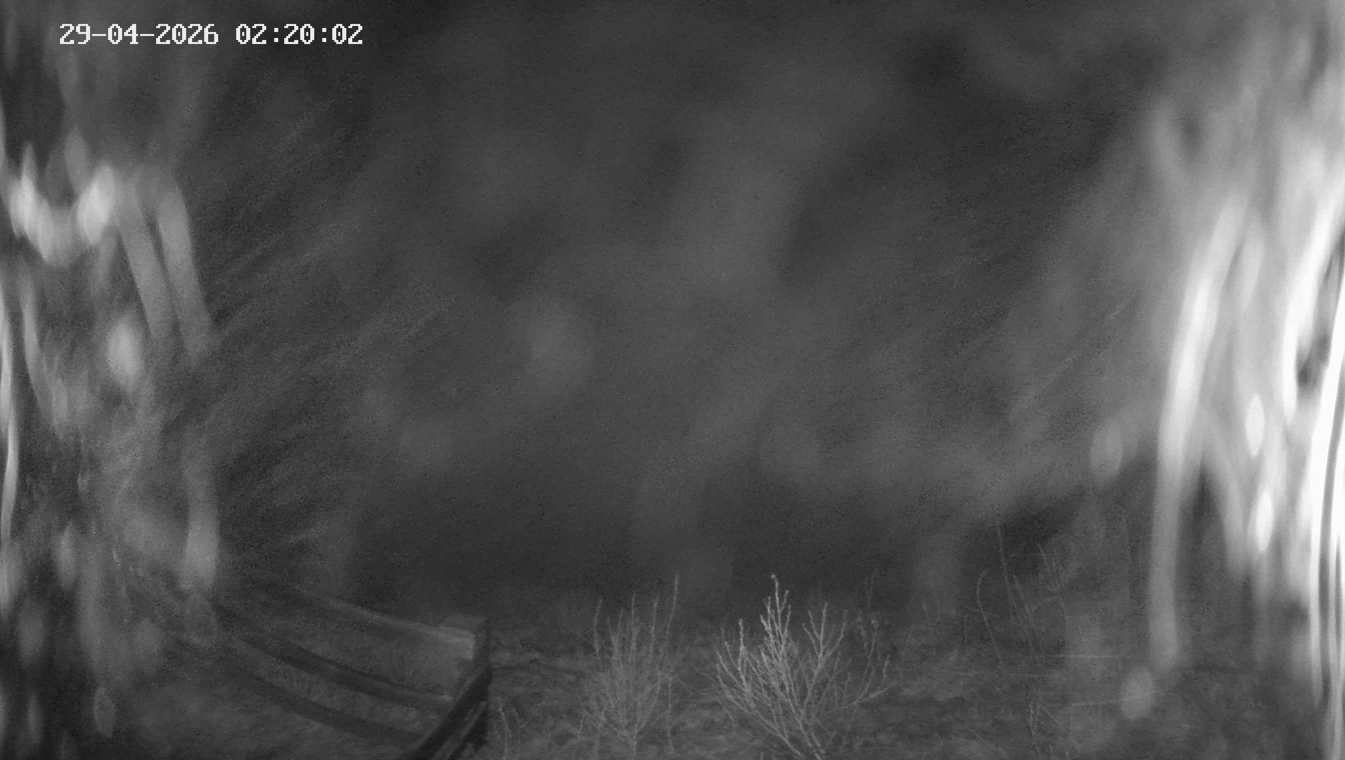 Archiv Foto Webcam Ladurns - Edelweißhütte