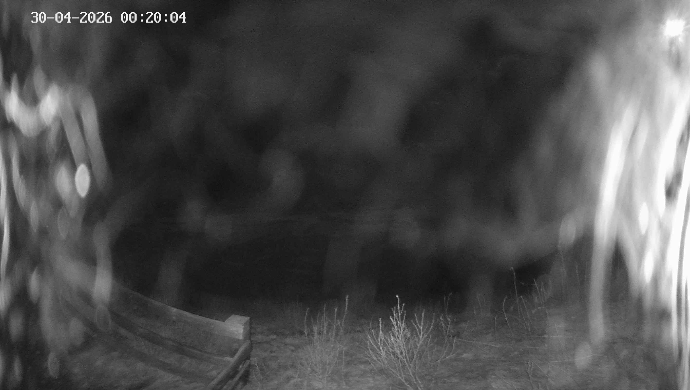 Archiv Foto Webcam Ladurns - Edelweißhütte