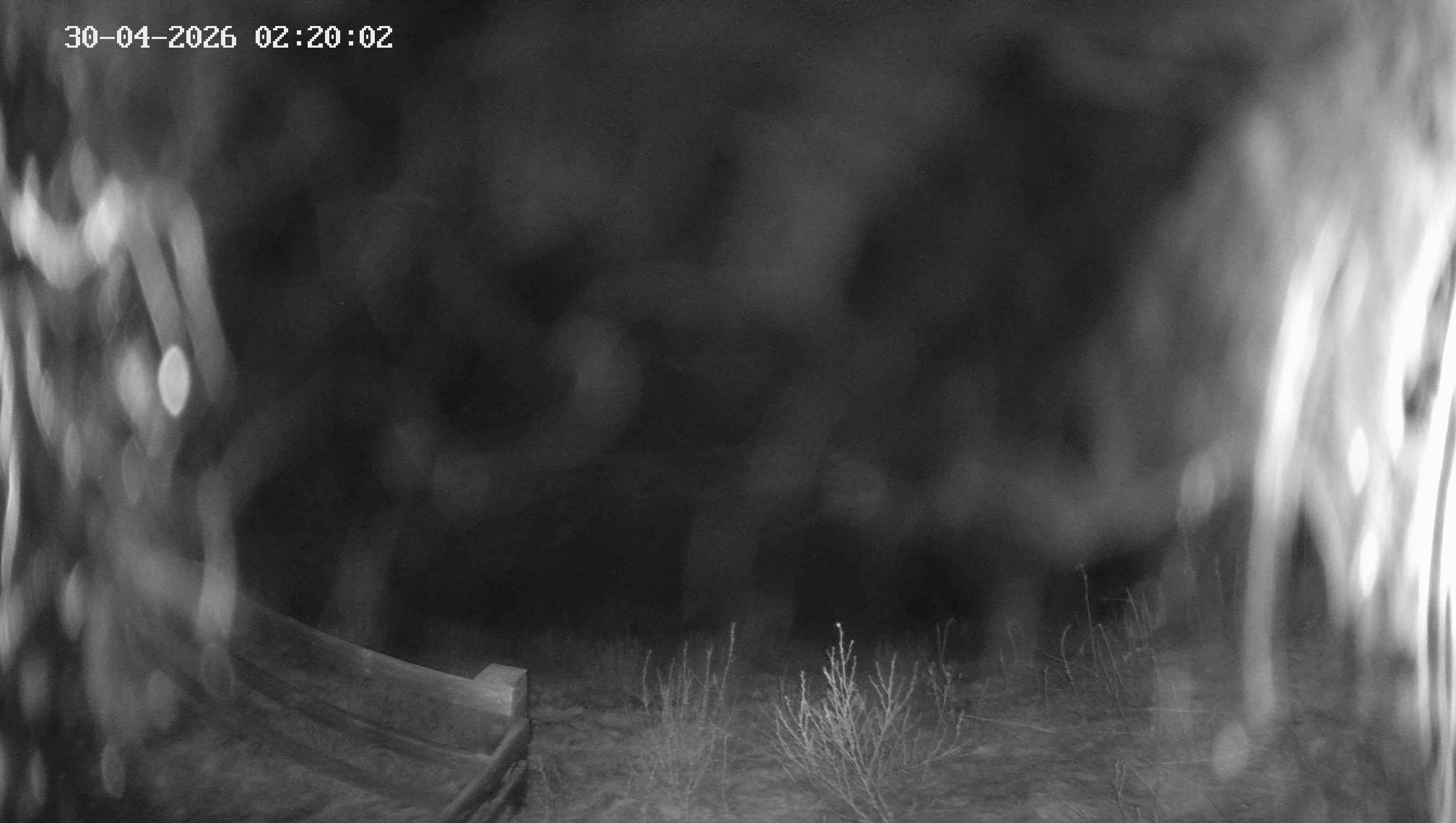 Archiv Foto Webcam Ladurns - Edelweißhütte