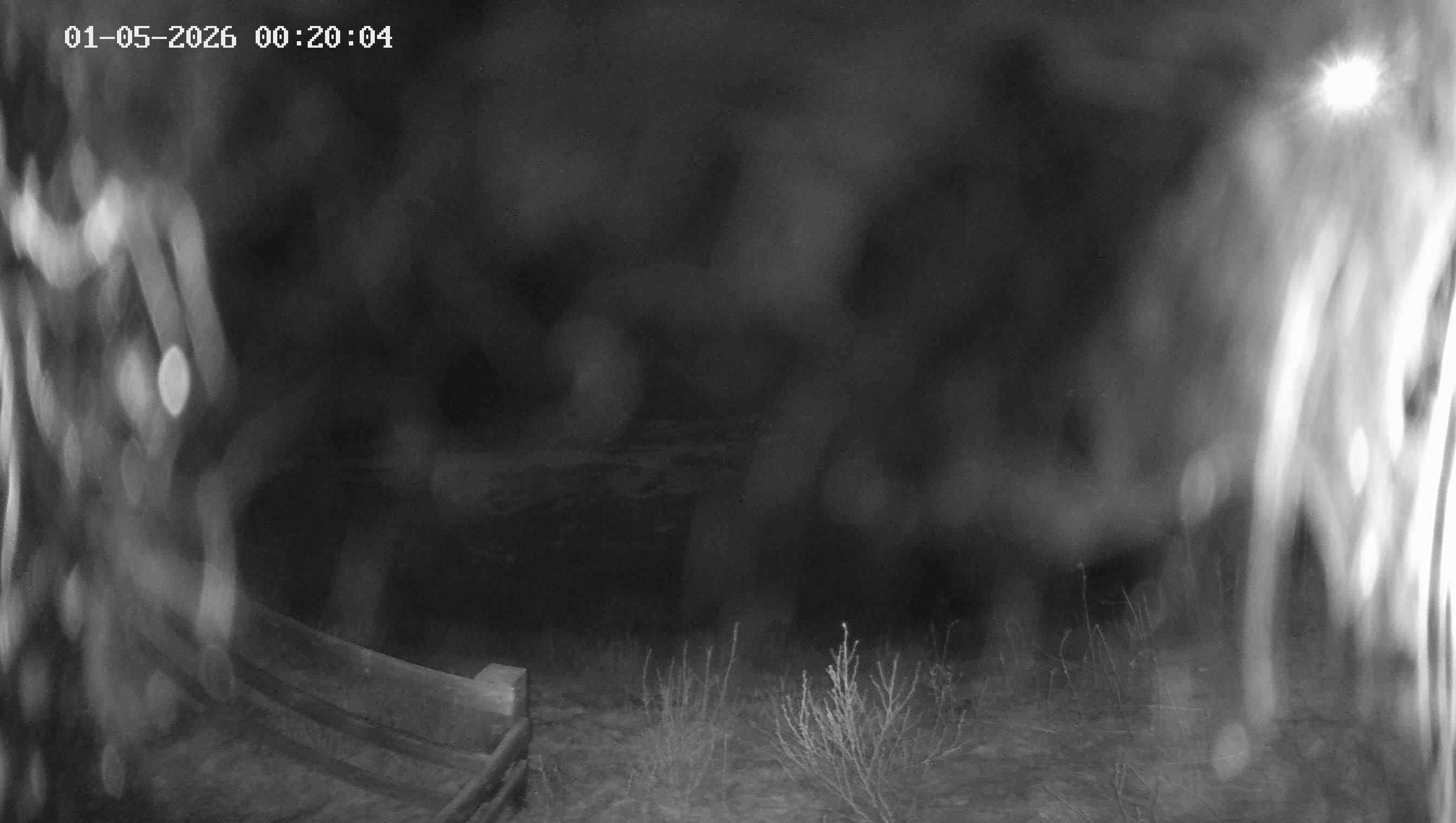 Archived image Webcam Ladurns - Malga Edelweis