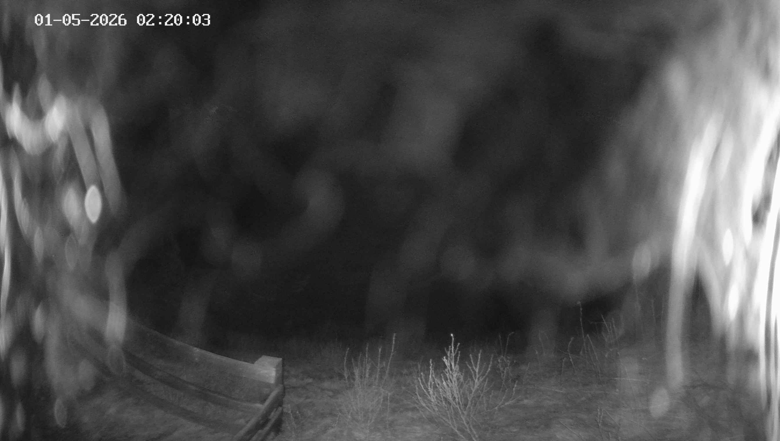 Archived image Webcam Ladurns - Malga Edelweis