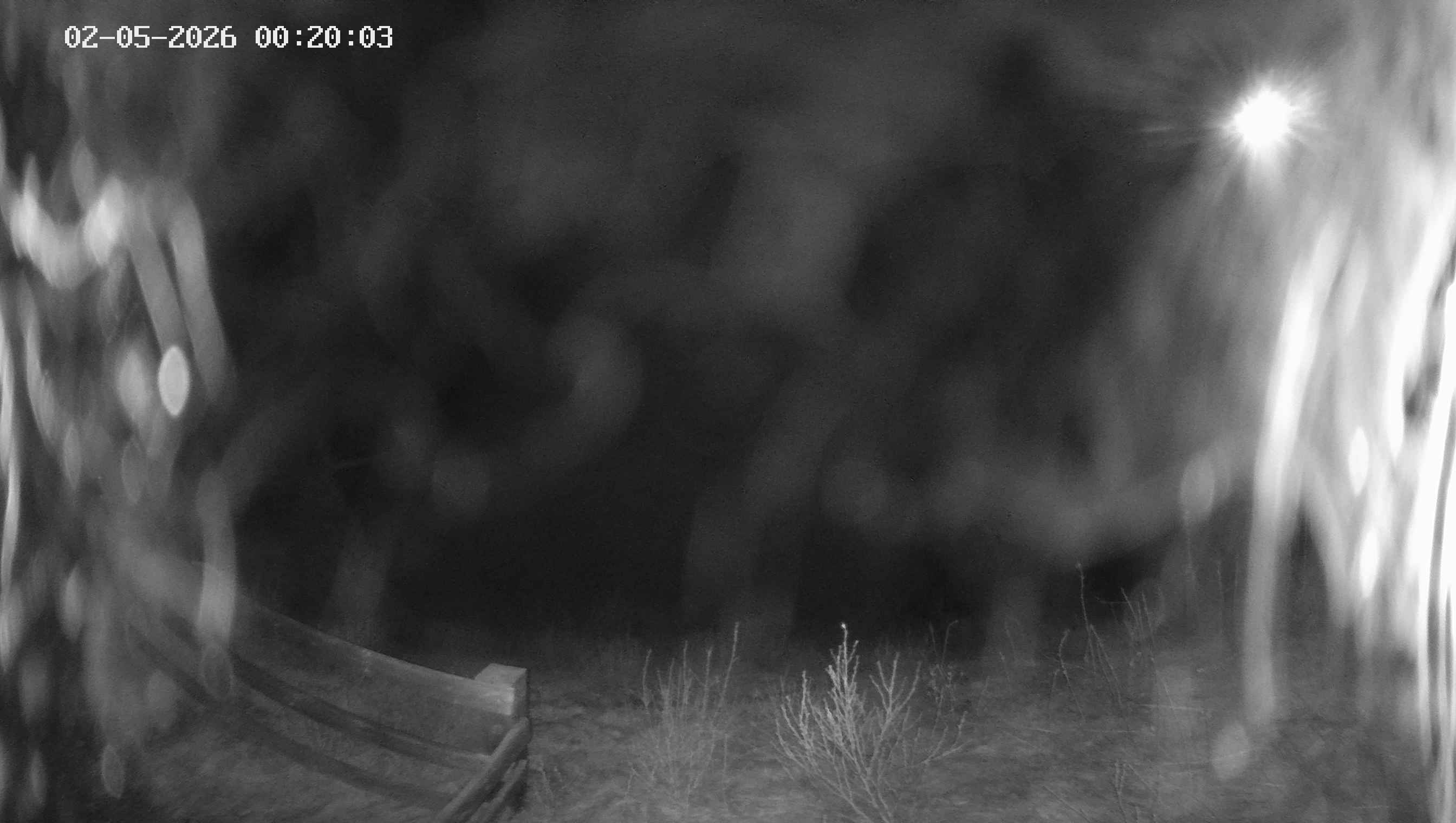 Archived image Webcam Ladurns - Malga Edelweis