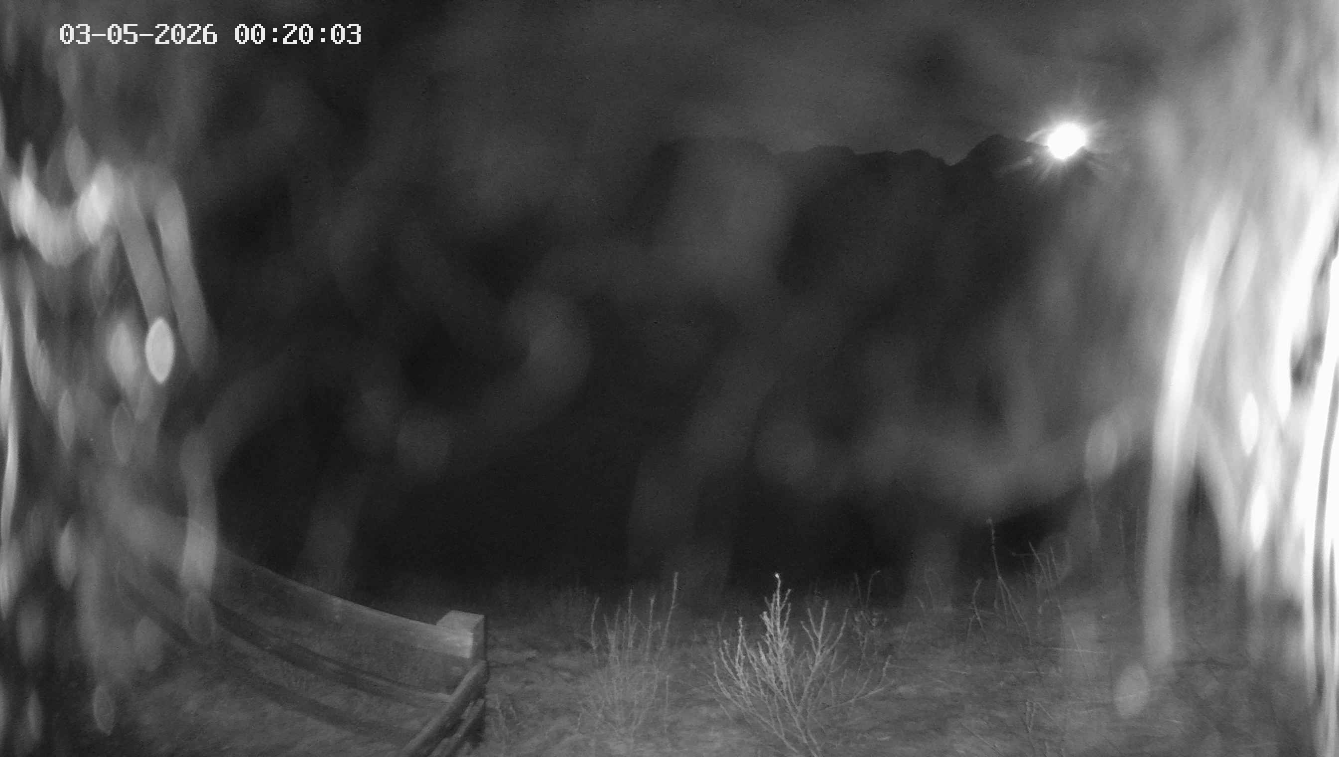 Archiv Foto Webcam Ladurns - Edelweißhütte