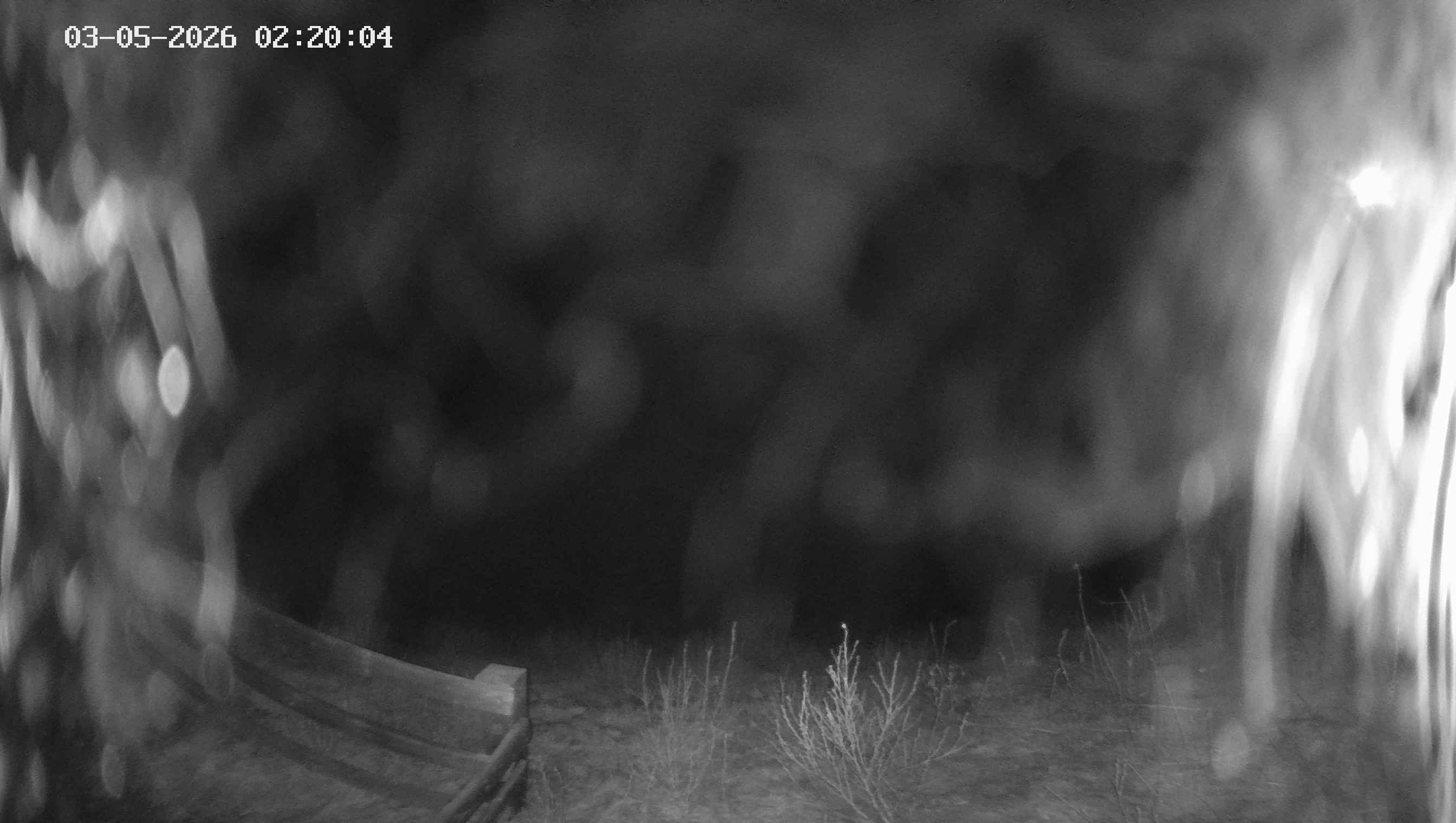 Archiv Foto Webcam Ladurns - Edelweißhütte