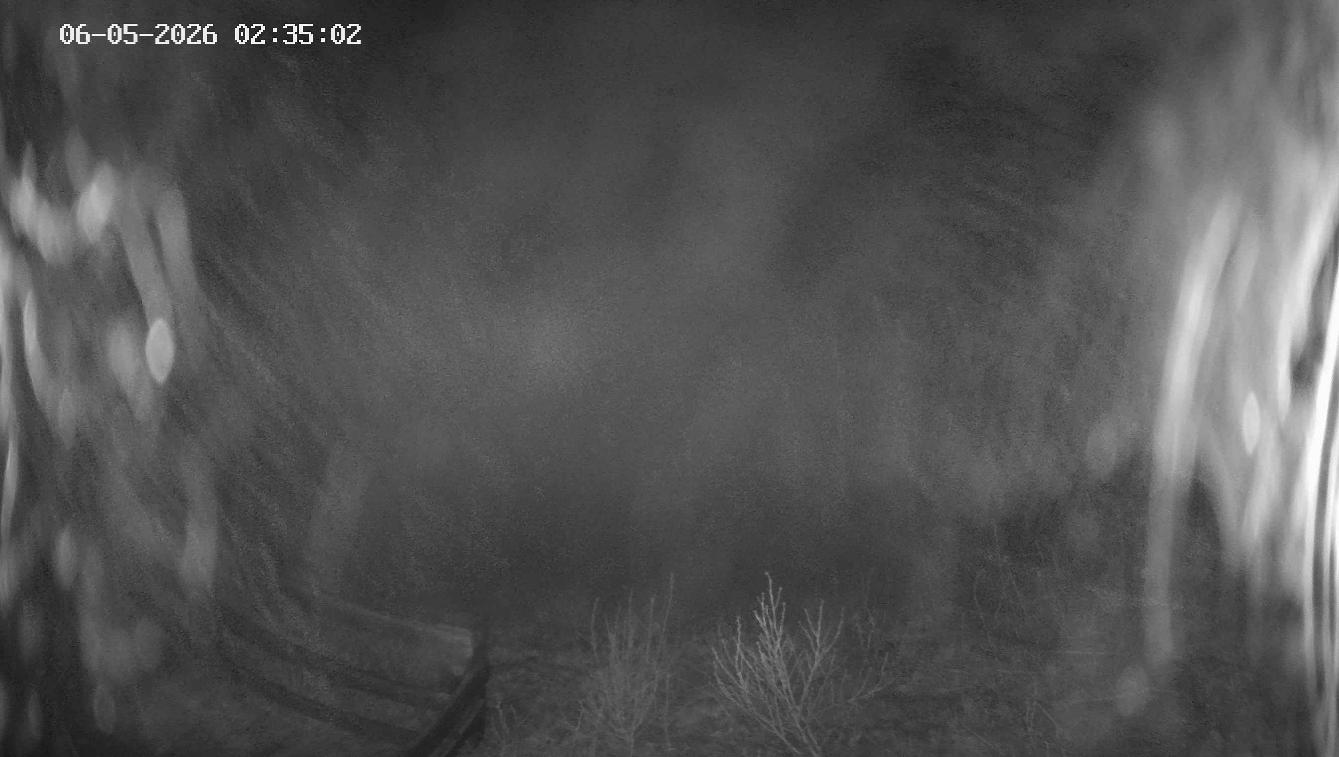 Archiv Foto Webcam Ladurns - Edelweißhütte