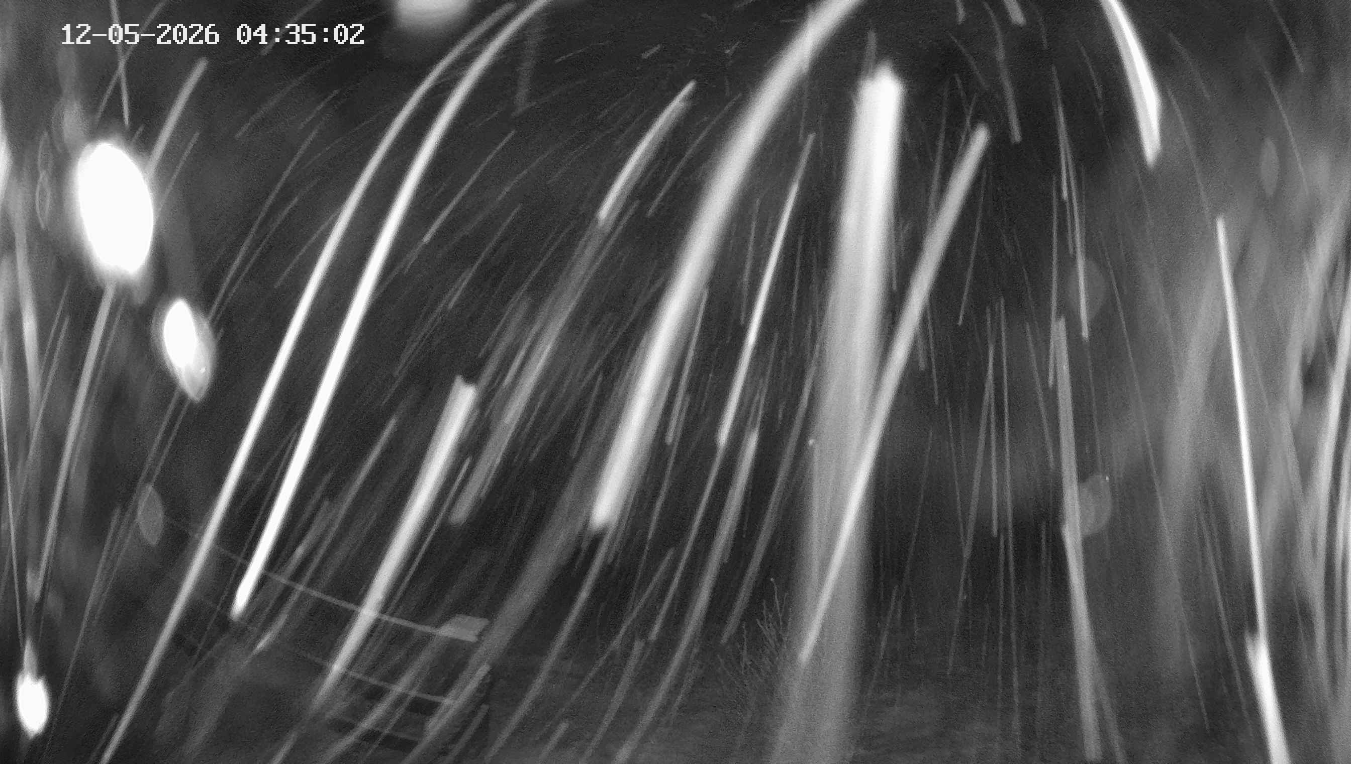 Archiv Foto Webcam Ladurns - Edelweißhütte