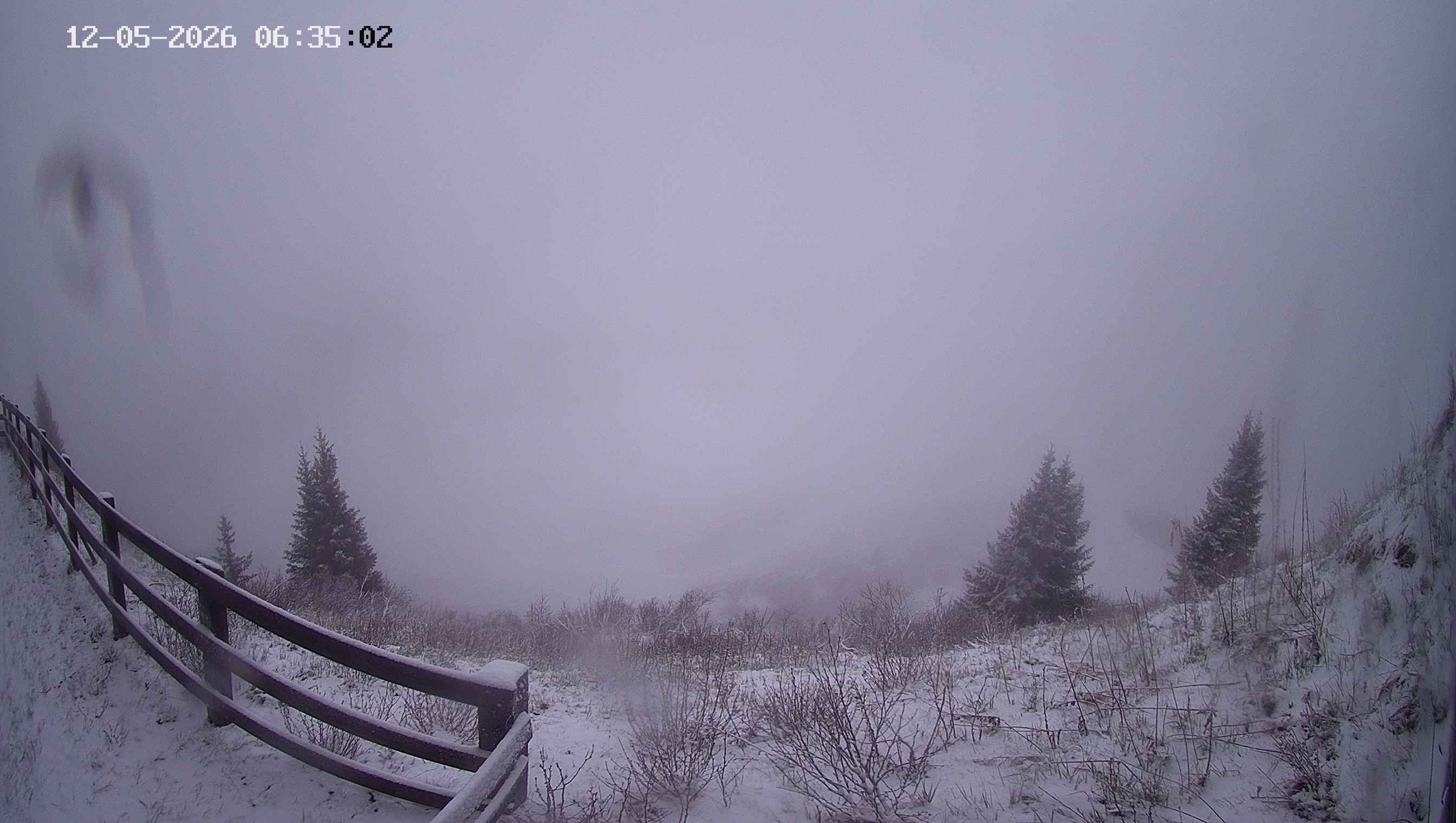 Archiv Foto Webcam Ladurns - Edelweißhütte