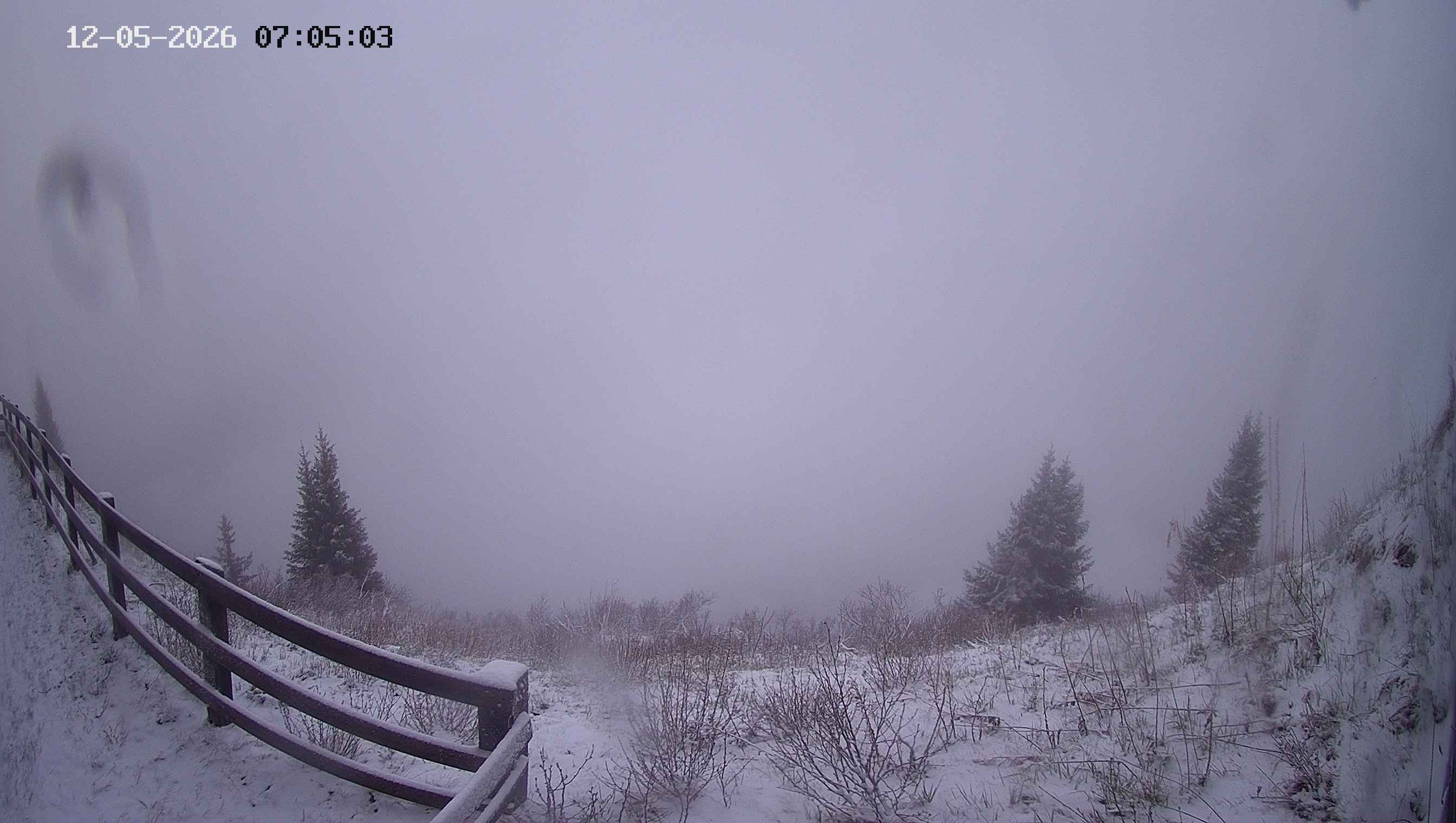 Archiv Foto Webcam Ladurns - Edelweißhütte