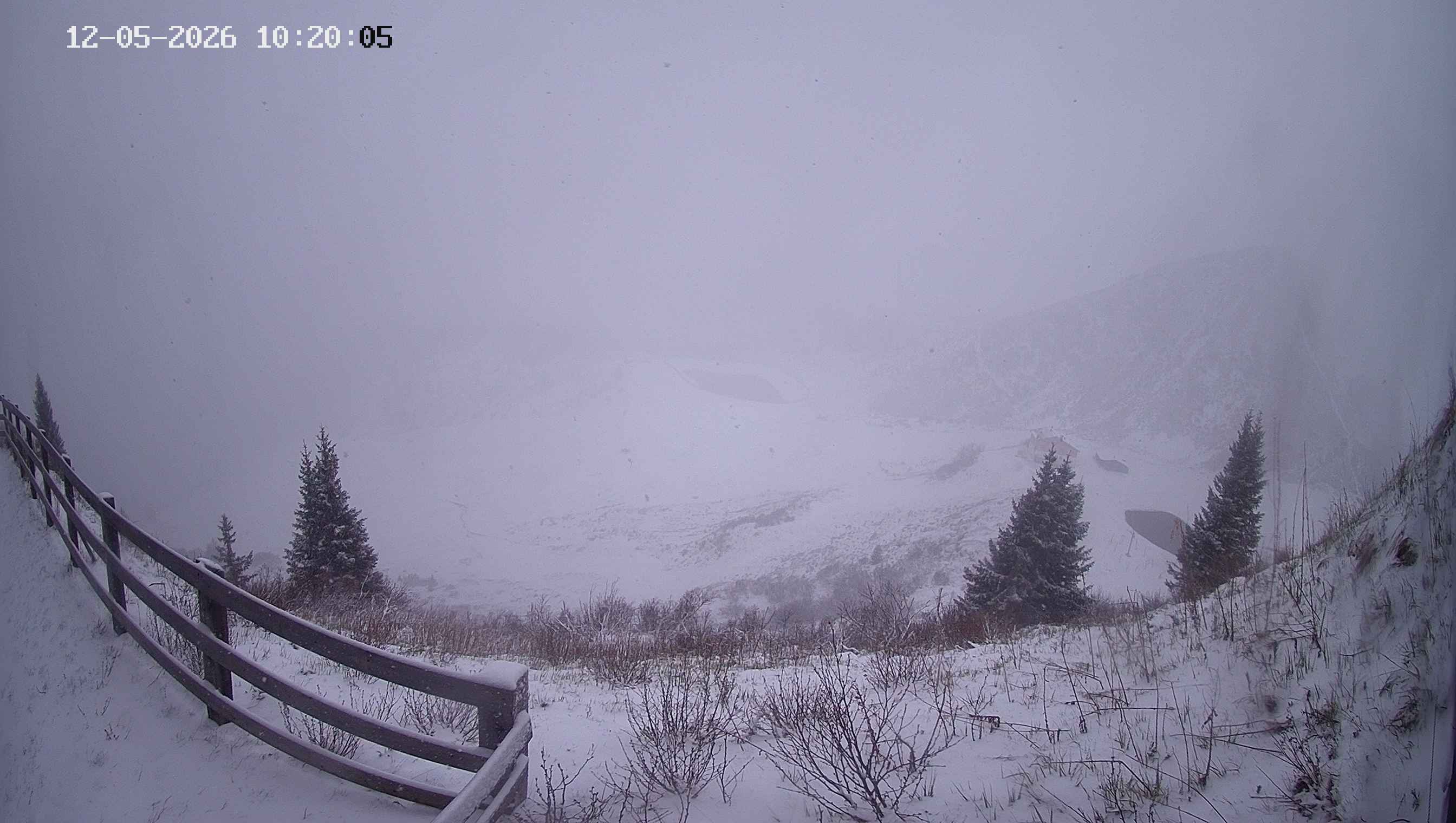Archiv Foto Webcam Ladurns - Edelweißhütte