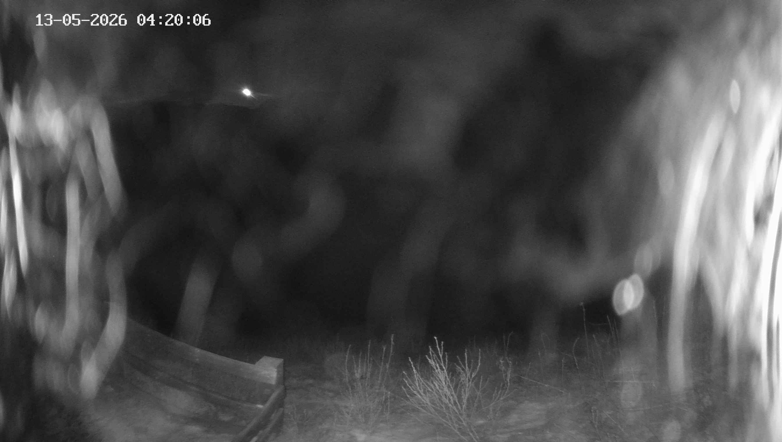 Archiv Foto Webcam Ladurns - Edelweißhütte