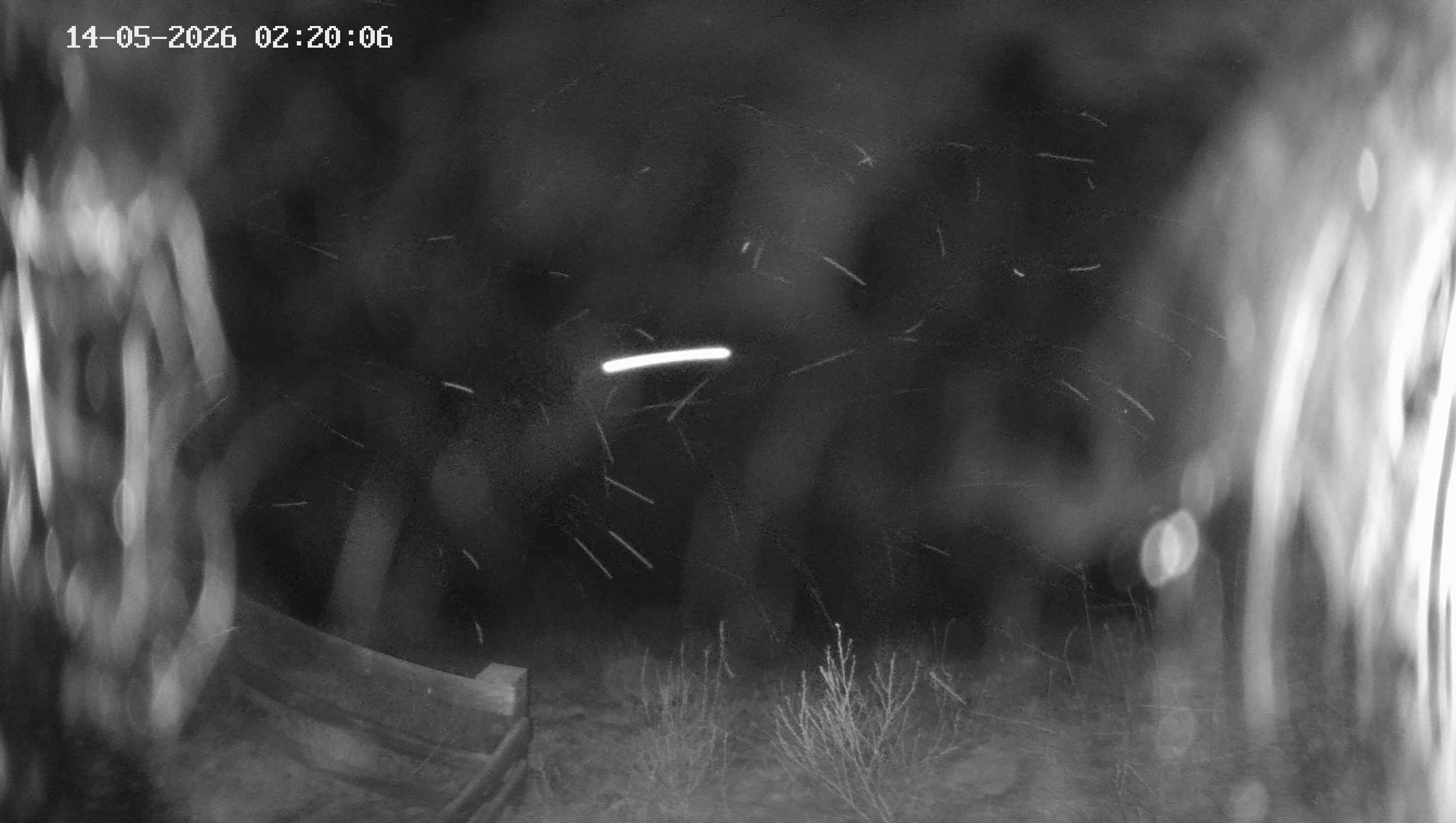 Archiv Foto Webcam Ladurns - Edelweißhütte