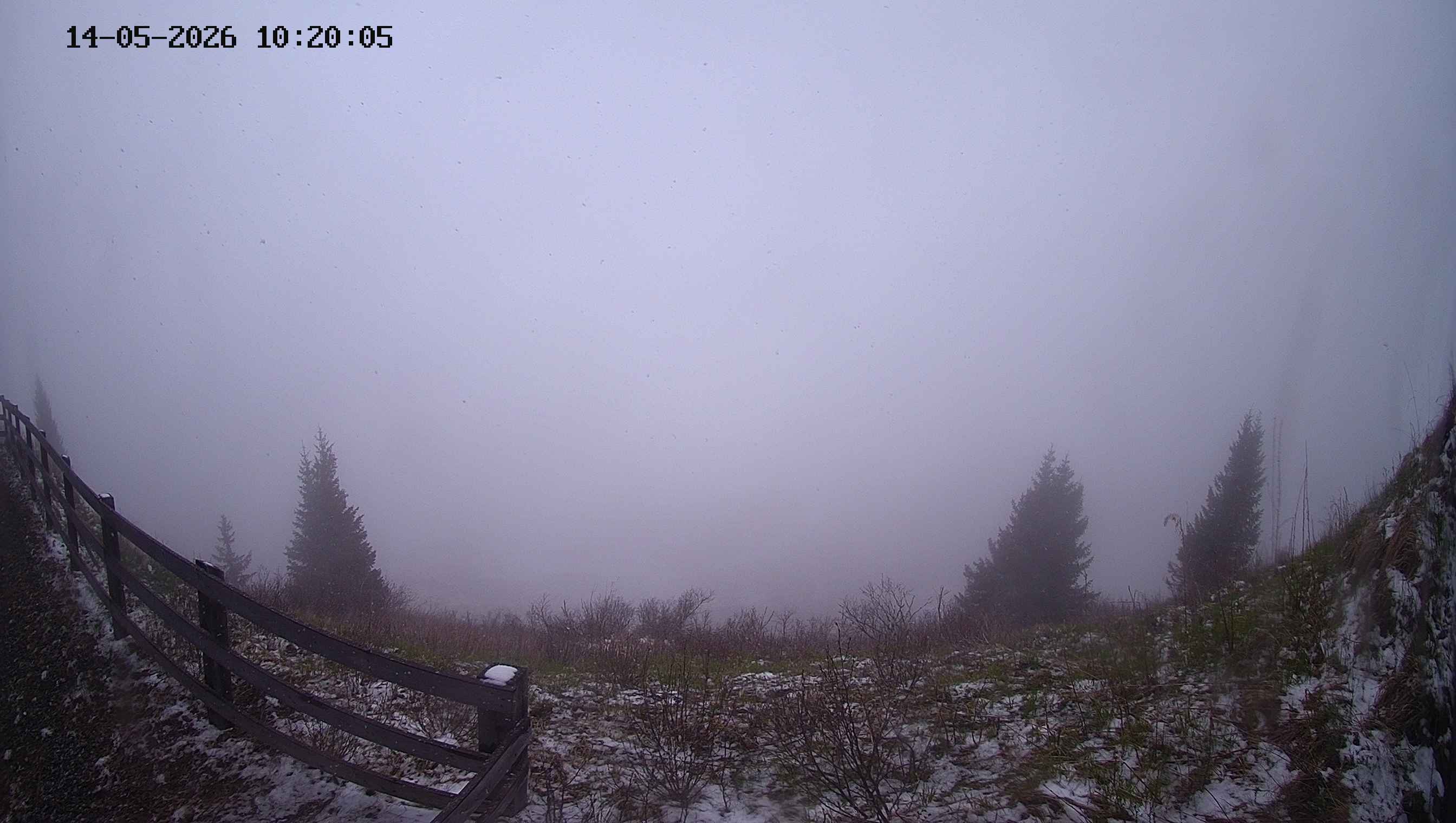 Archiv Foto Webcam Ladurns - Edelweißhütte