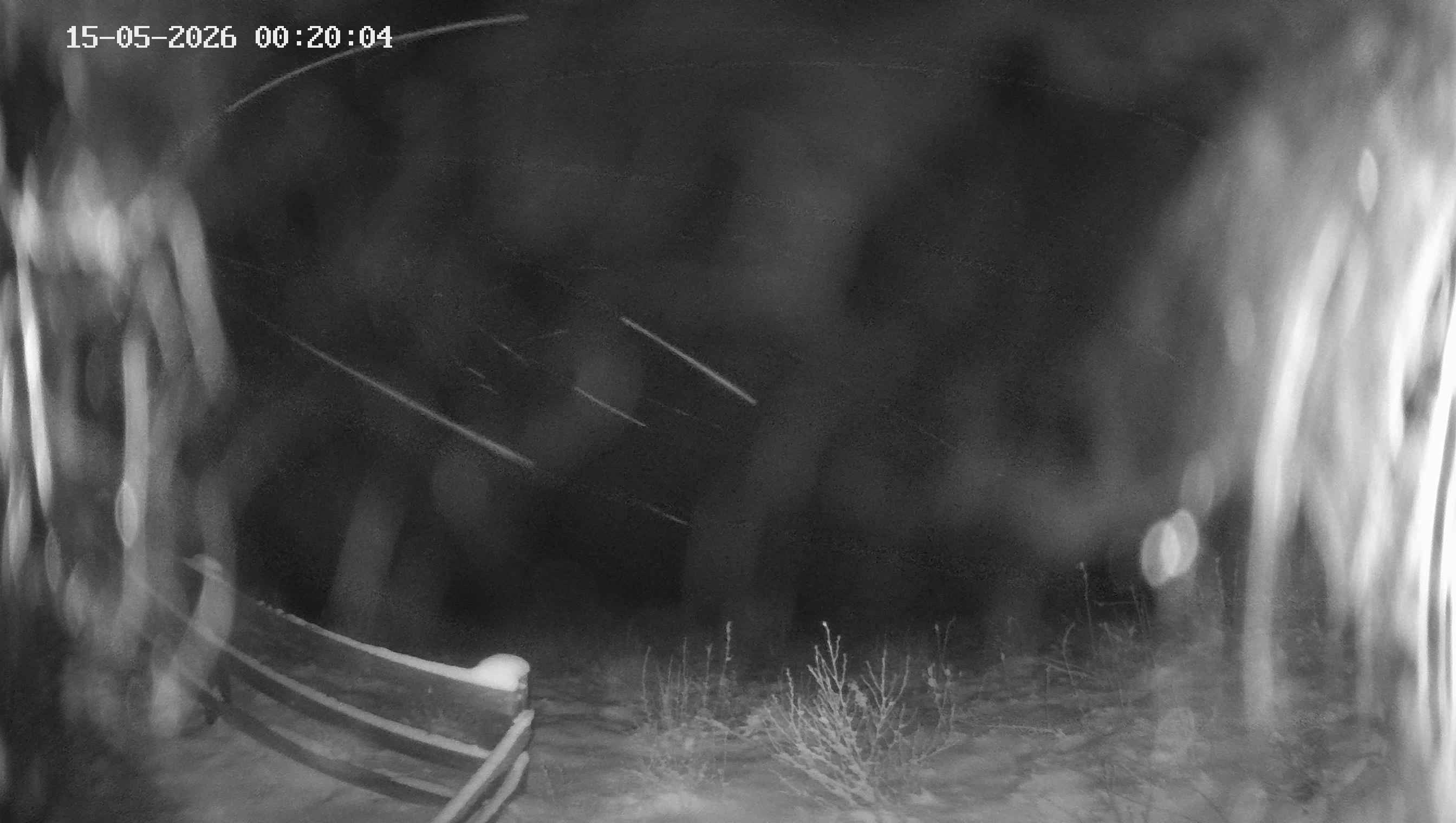 Archiv Foto Webcam Ladurns - Edelweißhütte