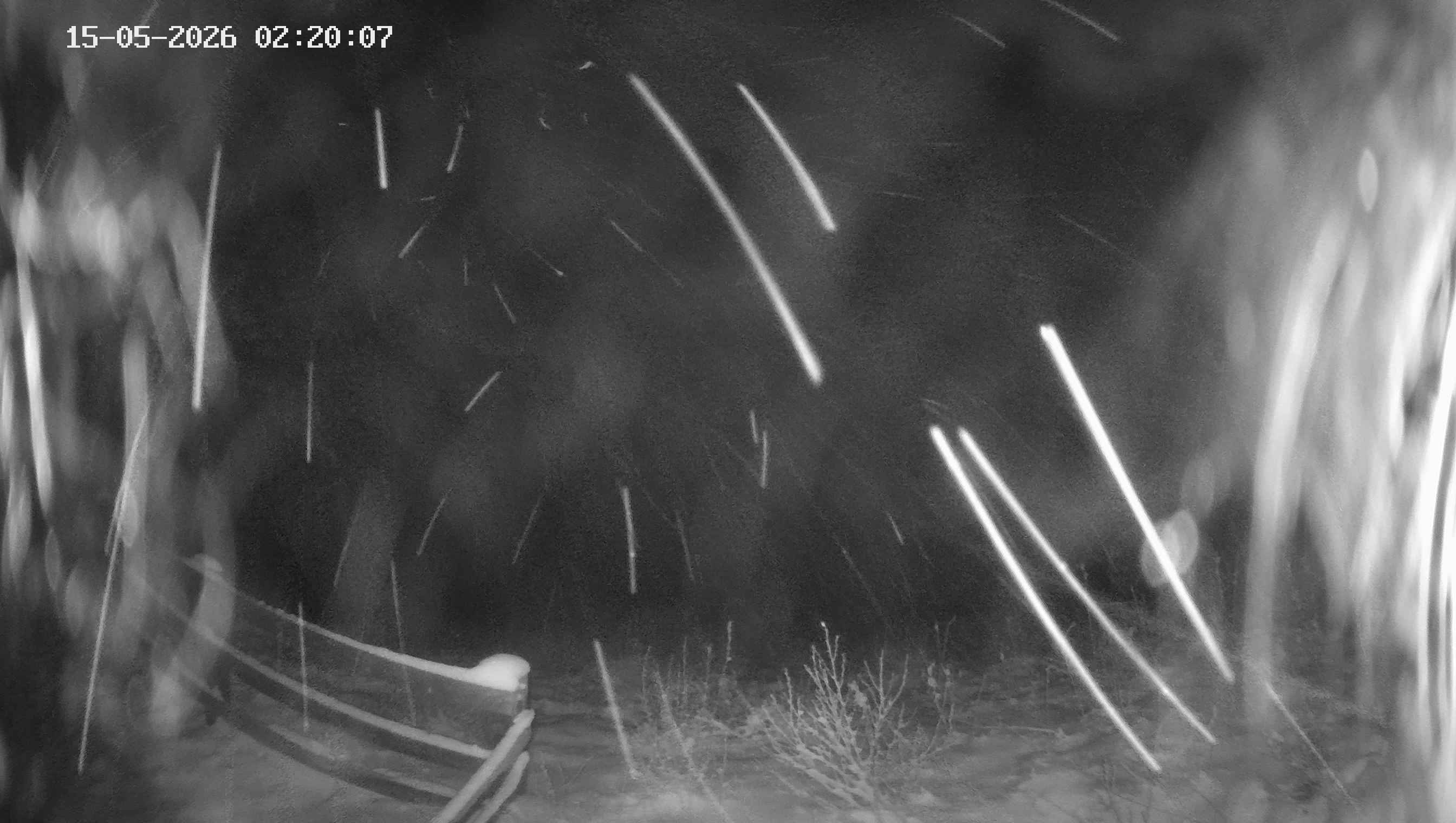 Archiv Foto Webcam Ladurns - Edelweißhütte