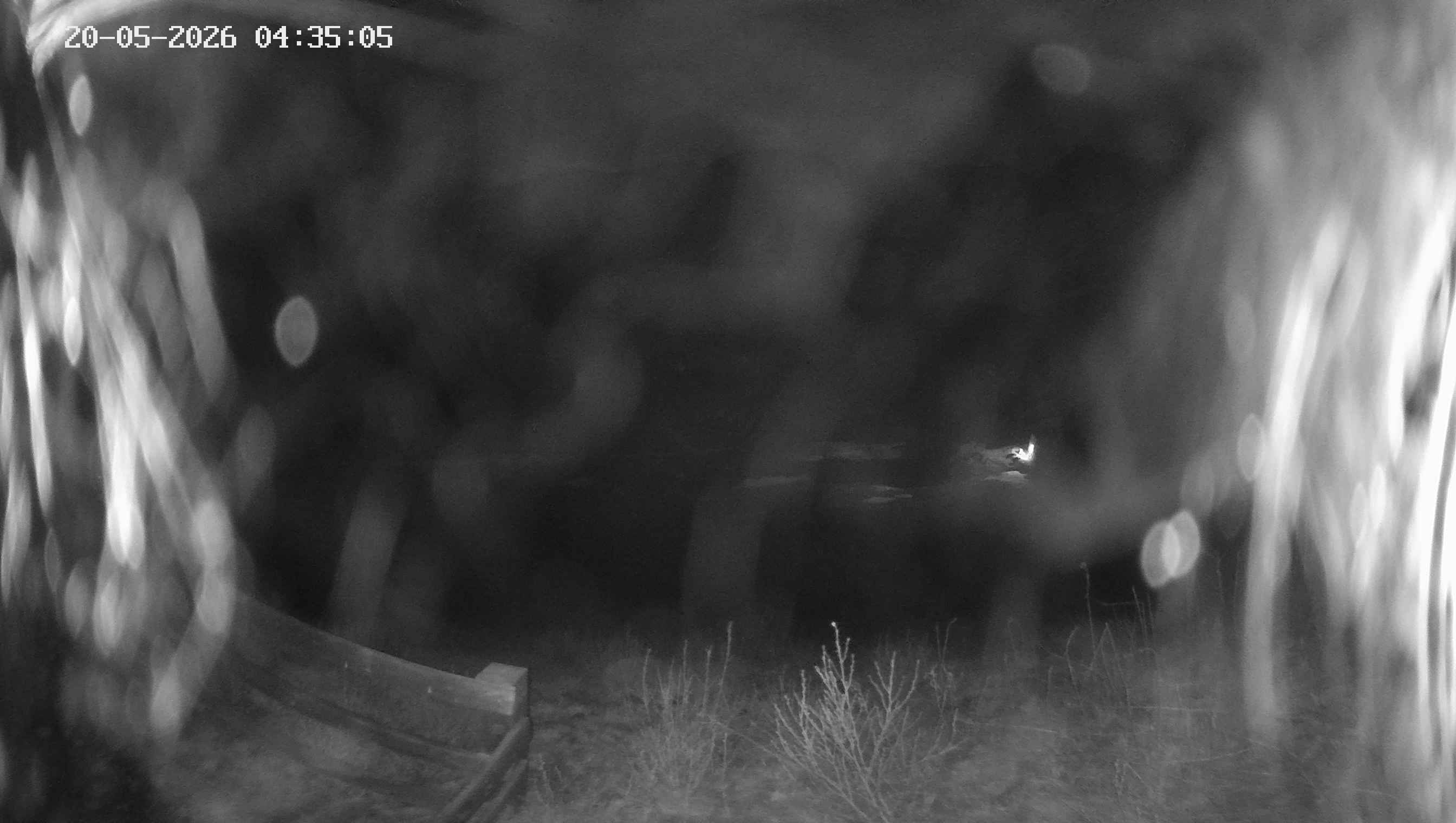 Archiv Foto Webcam Ladurns - Edelweißhütte