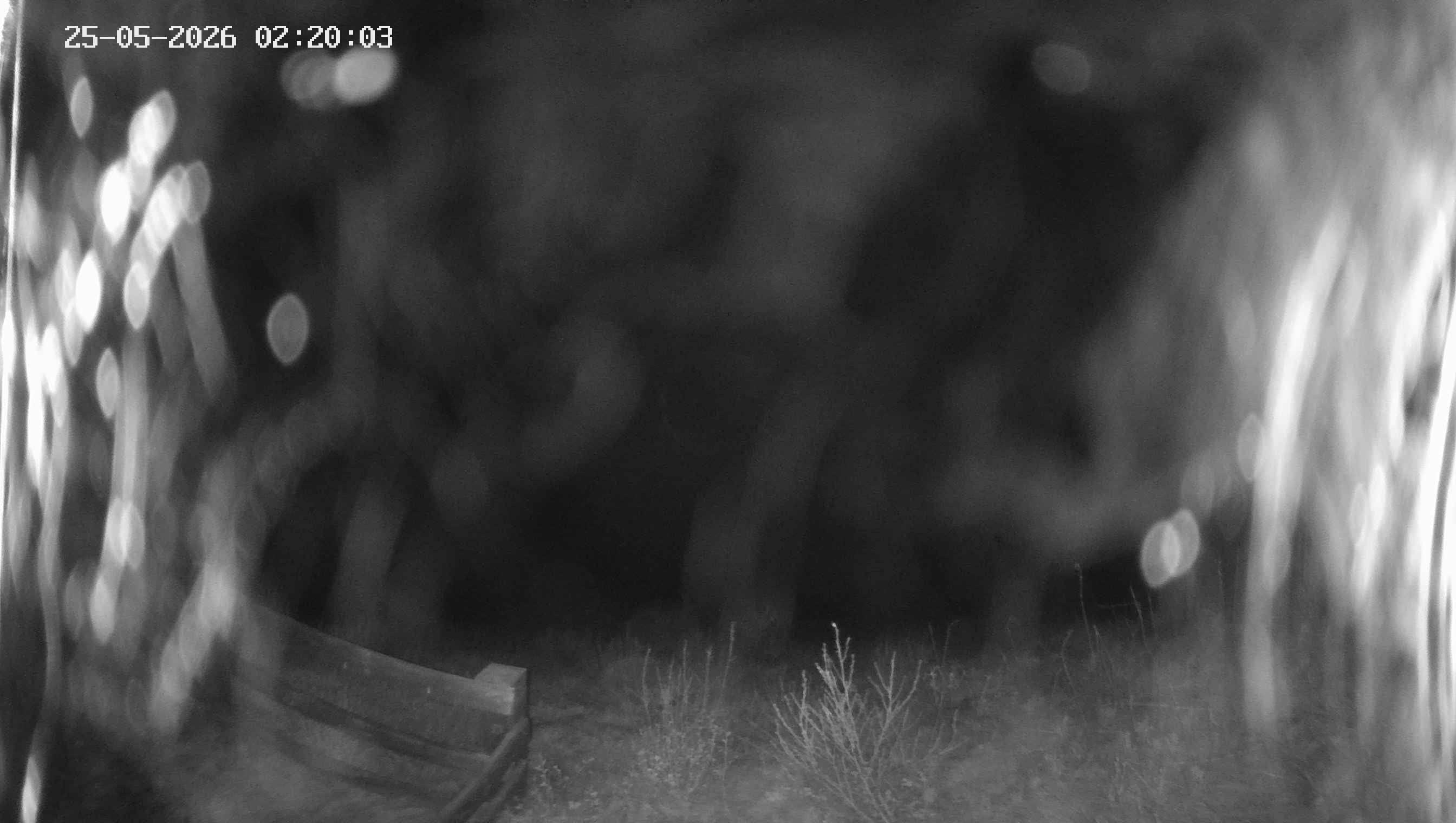 Archived image Webcam Ladurns - Malga Edelweis