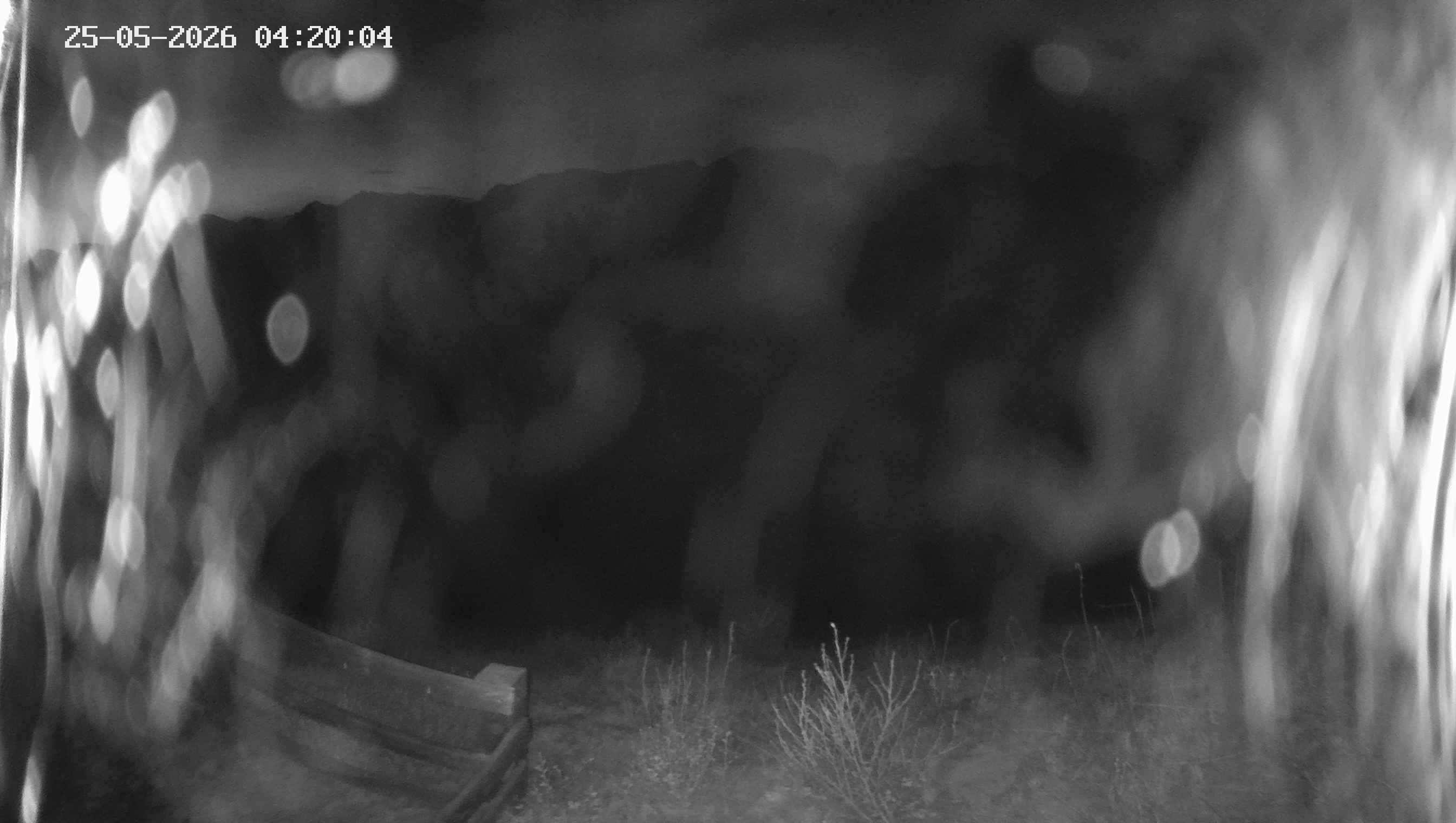 Archived image Webcam Ladurns - Malga Edelweis